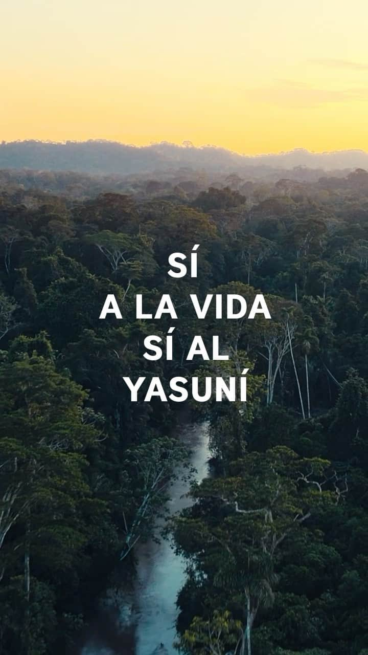 グレタ・トゥーンベリのインスタグラム：「A historic referendum is taking place in Ecuador on August 20th.  It presents a unique opportunity to protect Yasuní, the most biodiverse place on earth.  It’s a critically important region for the health of the Amazon basin and for the planet as a whole. This is what real climate action looks like!   This referendum shows that when politicians and decision makers do not act, PEOPLE DO!  I support #SíAlYasuní  Español: Este 20 de agosto hay  una consulta popular histórica en el Ecuador. Es una oportunidad única para proteger el Yasuní, el lugar con mayor biodiversidad de la tierra. ¡El Yasuni ITT tiene vital importancia para la salud de la cuenca amazónica y para todo el planeta! Esta consulta popular demuestra que cuando los políticos y los gobiernos no actúan ¡LA GENTE SÍ LO HACE! Esto es acción climática. Yo Apoyo  #SíAlYasuní  Produced by @Mullu.Tv & @jovenes_amazonicos_ec in collaboration with the Waorani Nationality of Ecuador & Okienani Waorani Association of Orellana  Follow @sialyasuni for more information」