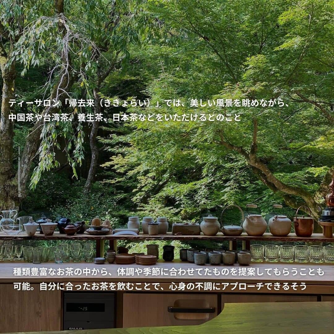 isutaさんのインスタグラム写真 - (isutaInstagram)「連日の暑さに、疲れを感じやすいこの頃。  自然たっぷりの場所で、リラックスしたいと考えている人も多いのでは？  そこで今回は、緑が鮮やかな今の季節にこそ足を運びたい、京都・比叡山の麓にある旅館「moksa」をご紹介するよ 🌳   @moksa_rebirthhotel  [moksa] 住所：京都府京都市左京区上高野東山65   photo by @y1220__  @whoistomo  ✄-----------------------✄  姉妹アカウント @i_am_isuta も更新中  isuta編集部の日常のひとコマや 取材の最新レポを発信しているよ️˖°  ほかにも、エディターが気になる カフェやファッション、コスメをご紹介.・* ぜひフォローしてね️  ✄-----------------------✄  #isuta#isutapic#isuta_trip#イスタ #moksa#京都観光#京都旅行#京都旅#京都旅館 #旅館#旅館ご飯#旅館好き#比叡山#八瀬#高野川 #山が好き#山好きな人と繋がりたい#マイナスイオン #マイナスイオンたっぷり#自然の中で#自然を感じる #自然のパワー#自然がいっぱい#緑が綺麗#モダン #ティーサロン#お茶好き#京野菜#ととのう#サウナ部」8月10日 12時23分 - isuta_jp