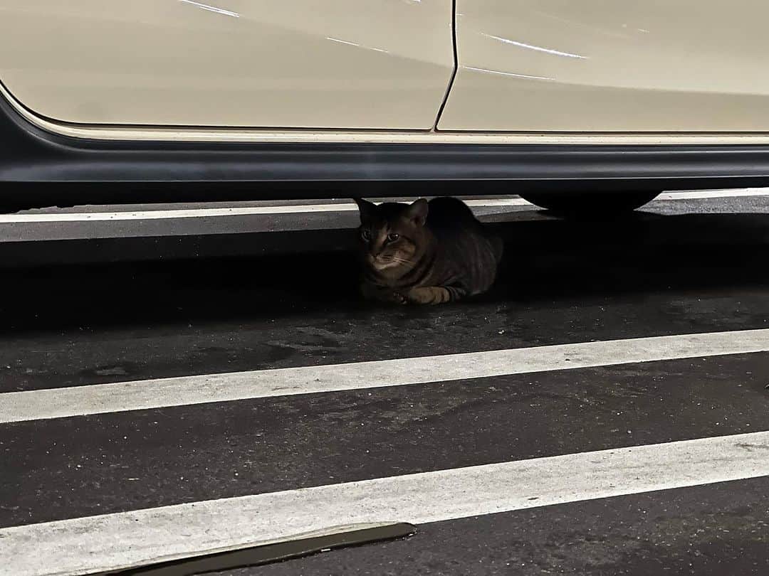 栗田善太郎のグルメインスタ