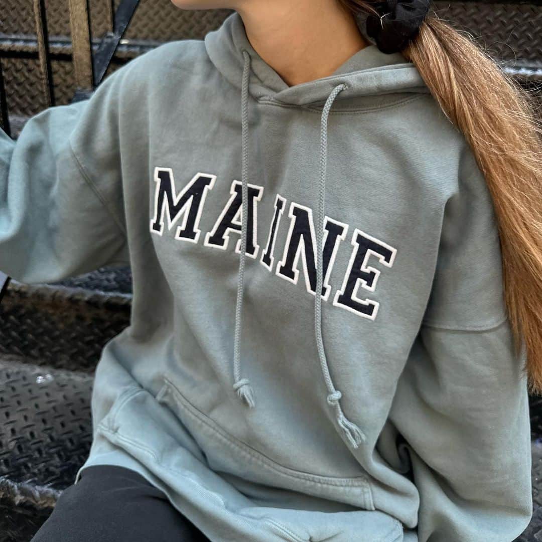 ブランディメルビルのインスタグラム：「#brandyusa」