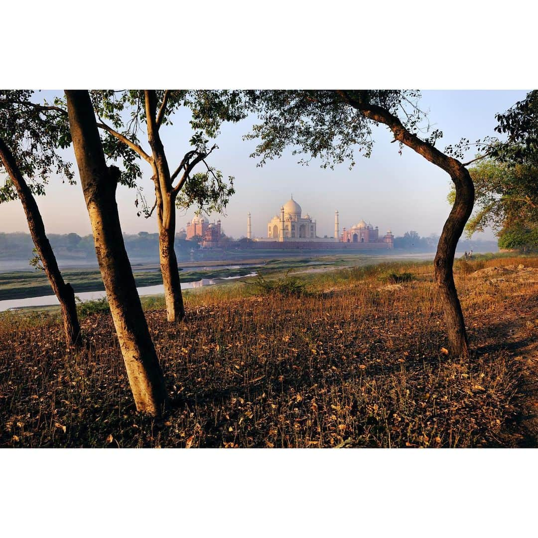 スティーブ・マカリーのインスタグラム：「"If you look closely at a tree you’ll notice its knots and dead branches, just like our bodies. What we learn is that beauty and imperfection go together wonderfully." – Matthew Fox 1st image: Taj Mahal, Agra, India, 2010. 2nd image: Omo Valley, Ethiopia, 2014. 3rd image: Rome, Italy, 2011.」