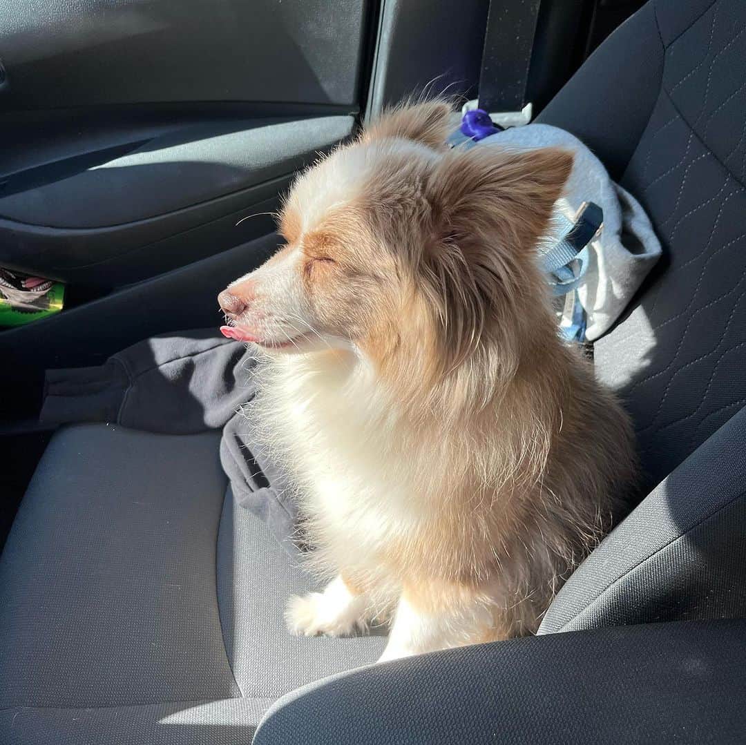 ビー・ミラーさんのインスタグラム写真 (ビー・ミラーInstagram)「🐣」8月10日 5時23分 beamiller