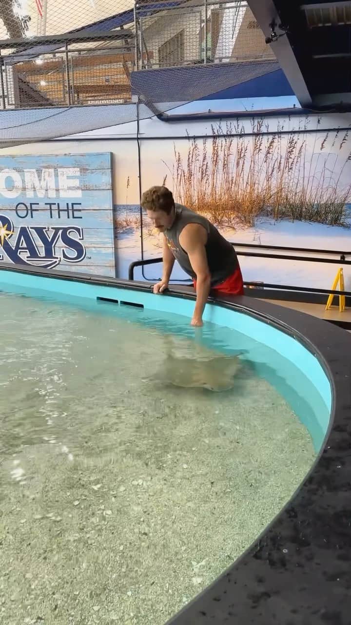 セントルイス・カージナルスのインスタグラム：「Florida man meets stingrays 😂」