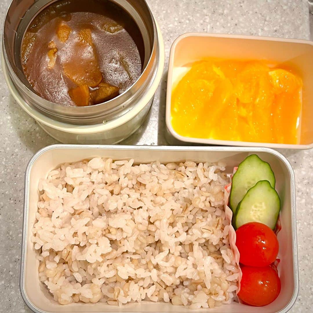 竹井亮介のインスタグラム：「2023年8月10日。 次女用お弁当。 鶏肉のカレー、もち麦ごはん、プチトマト、きゅうり、オレンジ。 #とっつぁん料理」