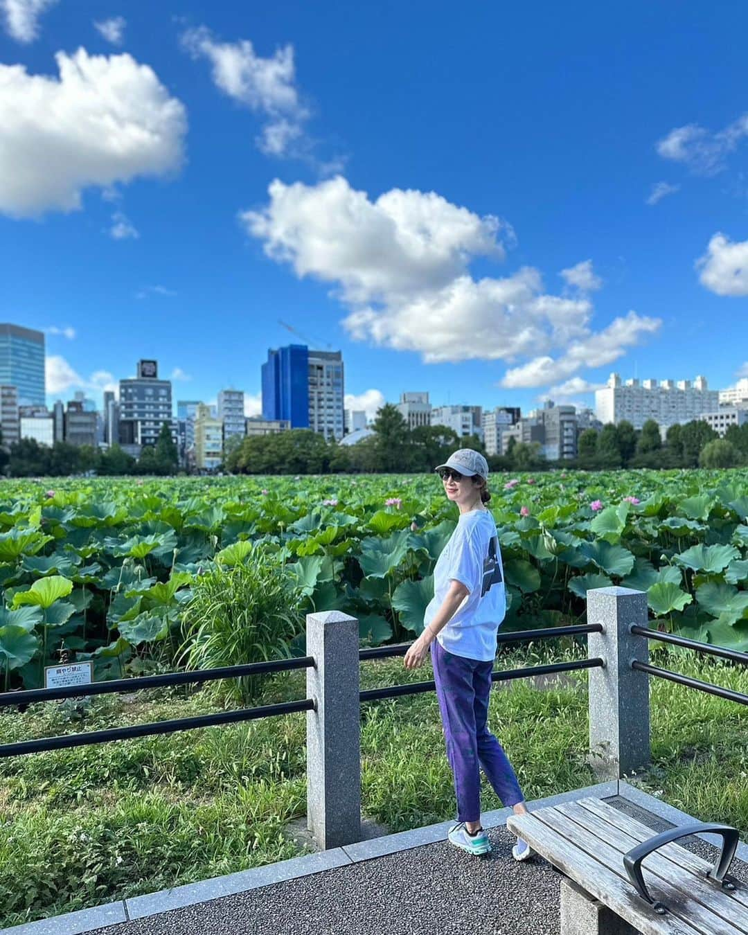 織香さんのインスタグラム写真 - (織香Instagram)「不忍池のロータスagain🪷🪷🪷  朝の開花してる姿も見たいな〜と言ったら 桂子ちゃんとミホちゃんが乗ってくれて 上野に朝の7時半集合❣️😆  不忍池の弁天様にお参りして🙏 蓮のお花を楽しんで🪷🪷🪷 みんなでスタバに行って☕️ お隣さんの可愛いワンコと戯れて🐩💕  と〜〜っても浄化されて エネルギーを充電できたなぁ🌟  と家に帰ったら、YouTubeにポンと上がってきた動画。  今日は巳の日🐍だから弁天様にお参りすると良い。髪のお手入れも良い（桂子ちゃんはその後美容院に行ってた✂️）しかも、白い犬も幸運の鍵！  えーーっ！！！ってテンション上がった日😆 2人共ありがとう♡♡♡  #8月3日 #巳の日 #蓮の花 #開花#🪷 #不忍池 #スタバ#断食前ラストコーヒー #🐩#ハニーちゃん #friends #lotus #時差投稿」8月10日 9時25分 - orikagram