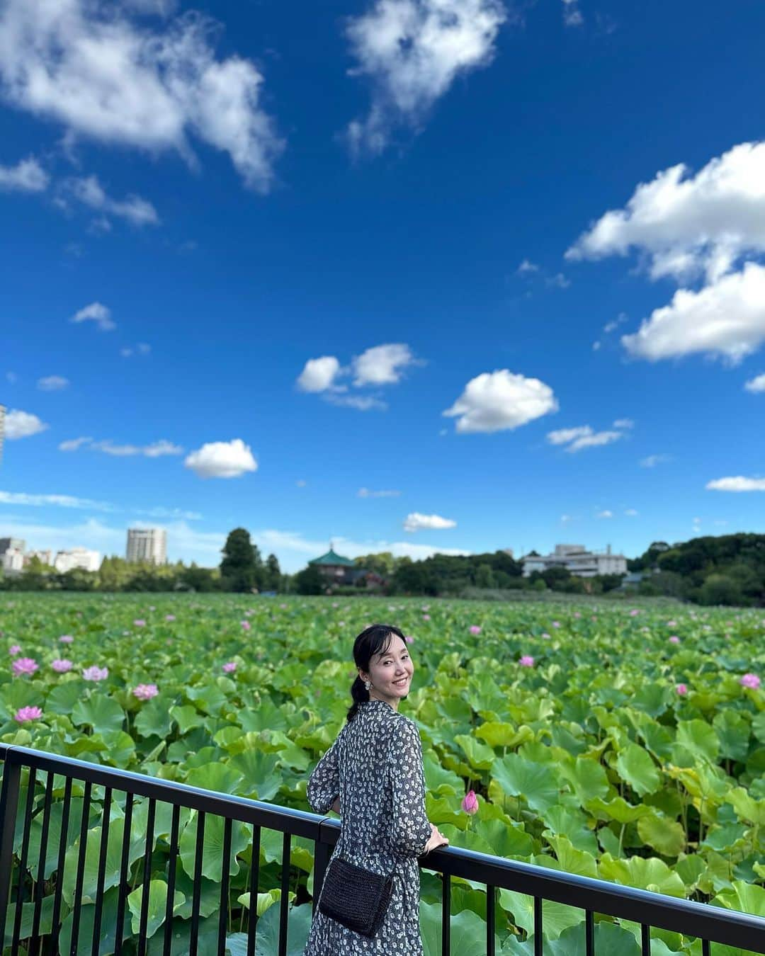 織香さんのインスタグラム写真 - (織香Instagram)「不忍池のロータスagain🪷🪷🪷  朝の開花してる姿も見たいな〜と言ったら 桂子ちゃんとミホちゃんが乗ってくれて 上野に朝の7時半集合❣️😆  不忍池の弁天様にお参りして🙏 蓮のお花を楽しんで🪷🪷🪷 みんなでスタバに行って☕️ お隣さんの可愛いワンコと戯れて🐩💕  と〜〜っても浄化されて エネルギーを充電できたなぁ🌟  と家に帰ったら、YouTubeにポンと上がってきた動画。  今日は巳の日🐍だから弁天様にお参りすると良い。髪のお手入れも良い（桂子ちゃんはその後美容院に行ってた✂️）しかも、白い犬も幸運の鍵！  えーーっ！！！ってテンション上がった日😆 2人共ありがとう♡♡♡  #8月3日 #巳の日 #蓮の花 #開花#🪷 #不忍池 #スタバ#断食前ラストコーヒー #🐩#ハニーちゃん #friends #lotus #時差投稿」8月10日 9時25分 - orikagram