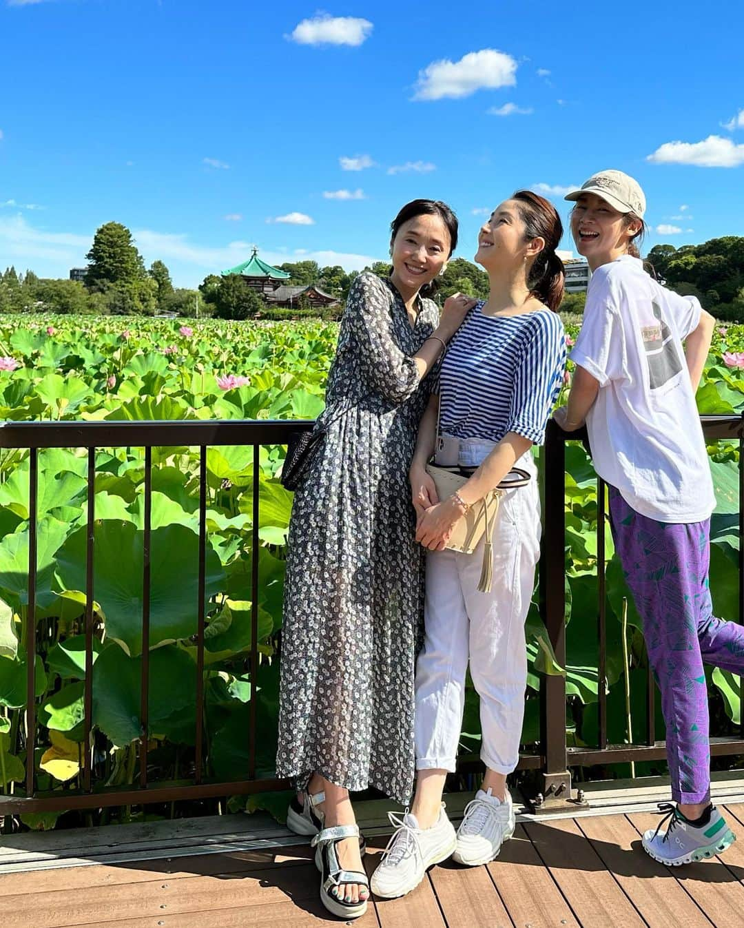 織香さんのインスタグラム写真 - (織香Instagram)「不忍池のロータスagain🪷🪷🪷  朝の開花してる姿も見たいな〜と言ったら 桂子ちゃんとミホちゃんが乗ってくれて 上野に朝の7時半集合❣️😆  不忍池の弁天様にお参りして🙏 蓮のお花を楽しんで🪷🪷🪷 みんなでスタバに行って☕️ お隣さんの可愛いワンコと戯れて🐩💕  と〜〜っても浄化されて エネルギーを充電できたなぁ🌟  と家に帰ったら、YouTubeにポンと上がってきた動画。  今日は巳の日🐍だから弁天様にお参りすると良い。髪のお手入れも良い（桂子ちゃんはその後美容院に行ってた✂️）しかも、白い犬も幸運の鍵！  えーーっ！！！ってテンション上がった日😆 2人共ありがとう♡♡♡  #8月3日 #巳の日 #蓮の花 #開花#🪷 #不忍池 #スタバ#断食前ラストコーヒー #🐩#ハニーちゃん #friends #lotus #時差投稿」8月10日 9時25分 - orikagram