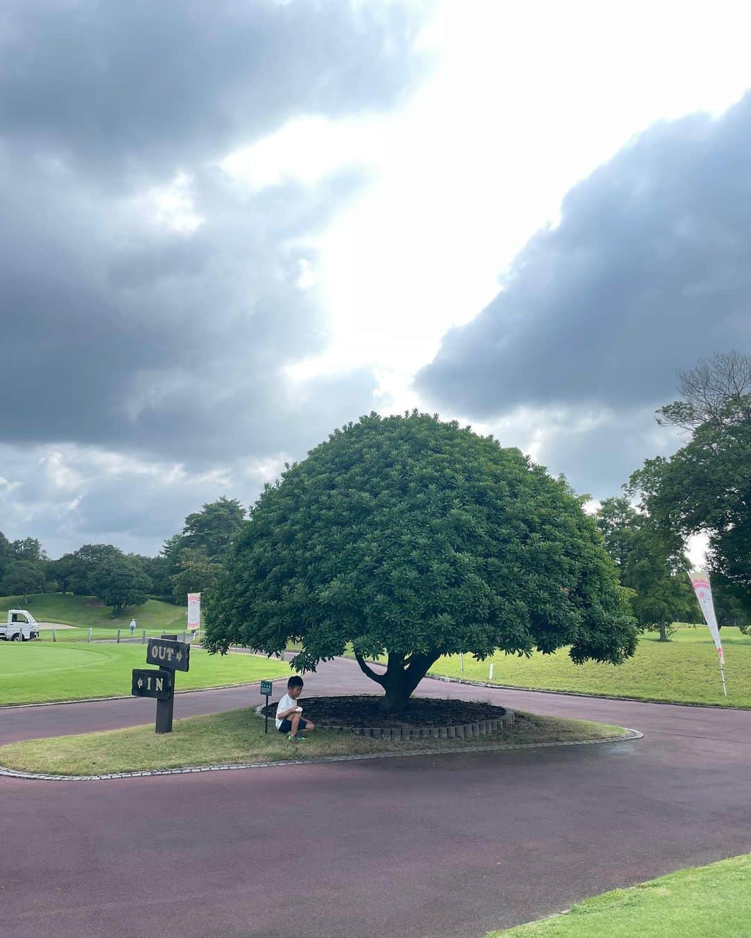 生島早織さんのインスタグラム写真 - (生島早織Instagram)「LaLaクィーズカップ⛳️  昨年に続き、今年も参加させて頂きました❣️ ママプロゴルファーの為の大会❣️ ジュニアゴルファー、女子プロゴルファーが同組でプレー⛳️  試合感があるもののどこかほんわか楽しい大会です⛳️  今回は、初めて子供達と試合会場に行き、子供達はキッズルームで待っていてくれます❣️  おもちゃ王国さんがメインスポンサーと言うこともあり、おもちゃが豊富に用意され、普段おもちゃを与えられていない双子達はさぞかし喜んだ事でしょう🤣  ほか、スナッグゴルフや同年代の子供達との交流❣️ あっという間の２日間でした。  ホテルでもお部屋に持ち込めるたくさんのおもちゃがあり、双子達も家にいるより沢山遊べて、楽しい初めての3人旅になりました😊  練習ラウンドでは、懐かしい楽しいメンバーとのラウンドで発見と気付きあり、笑いあり❣️  思い出話で盛り上がり、変わらずの辛口トークにも癒されました😂  それにしてもみんな変わらないというか若いというか〜❣️  プロゴルファー元気すぎる❣️  試合では、一緒にプレーした小学6年生ちゃんが小学生の部優勝🏆  ゴルフが楽しくて仕方ないようで、見ている私も嬉しくなりました❣️ パターも思いっきりが良すぎて、羨ましい限り😅 私も見習いたい😅  プロの分優勝は、プレーオフを制した藤野オリエさん🏆  流石です❣️  台風の影響で風速5メートルを越える風の中素晴らしいゴルフ⛳️でした👏  風に翻弄された私に風の攻略法を教えてくれました❣️  試合前に教えてもらったら、頭の疲労度は違ったかも⁉️😅  次回に活かせるようにします💪  最後に、おもちゃ王国様から子供達に気に入ったおもちゃを一つずつプレゼントに頂きました。  双子達の嬉しそうな顔😍  帰りの車ではテンションMAX‼️  また来年も来るわ‼️って〜🤣  私は、昨年に続きホールインワン狙いでしたが（笑）残念💦  また来年リベンジさせてください😃  この様なフルサポートの素晴らしい大会を開催して頂いた多くのスポンサー様初め、ゴルフ場関係者の皆様や、実行委員の皆様、本当にありがとうございました😍🤲  この大会を通して、子供達との思い出を作ることができ、また子供達との絆も深まった様に感じます❣️ 普段経験することのできない貴重な経験も出来ました。  本当にありがとうございました😊  #ララクィーンズカップ #ママゴルファー #ママプロゴルファー #ママはプロゴルファー #ゴルフのお仕事 #双子育児 #双子ママ #3人旅 #夏の思い出 #おもちゃ王国 #女子プロゴルファー」8月10日 10時52分 - saori.ikushima