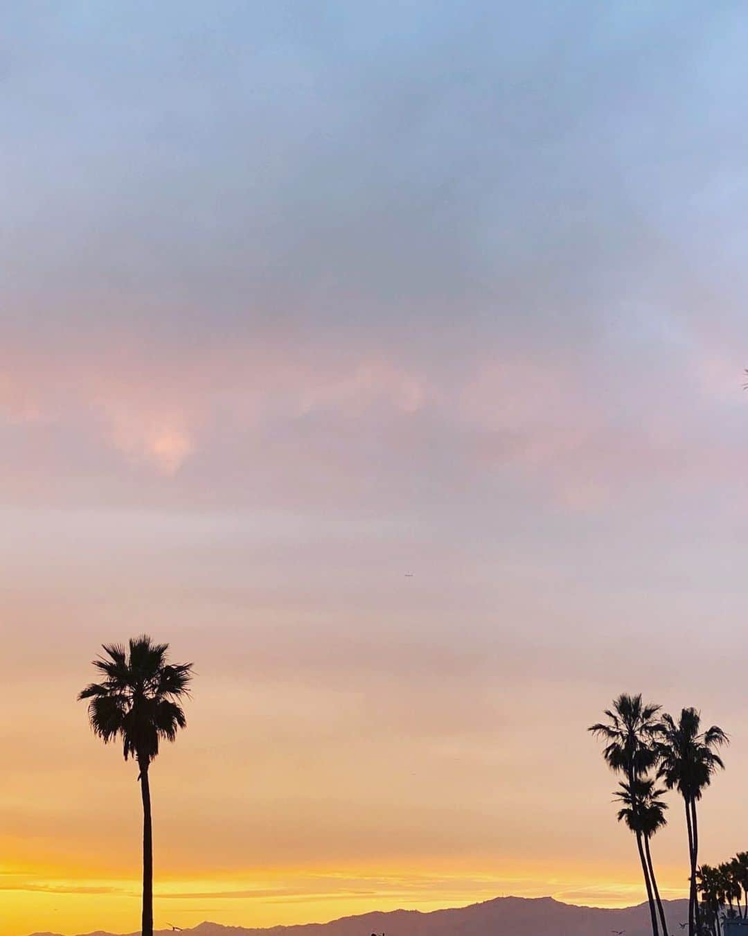 Bill Wall Leather × BEAMSのインスタグラム：「【Landscape】Venice Beach  Photography @yurihasegawaphoto __________ #billwallleather #beams #yurihasegawaphoto」