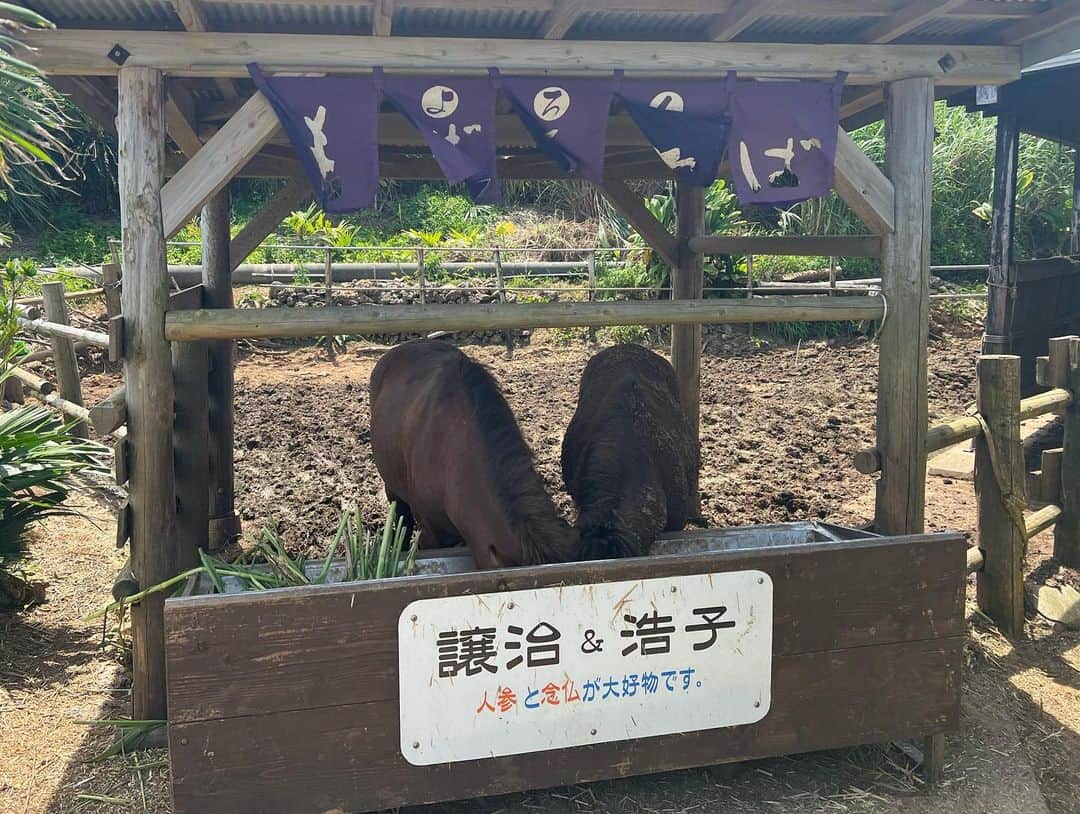 菅井友香さんのインスタグラム写真 - (菅井友香Instagram)「夏ですね☀️  暑い日が続いていますが、体調は大丈夫でしょうか？ 台風にもお気をつけくださいね。  今まで上げきれなかった 夏の思い出写真をアップしますね✨  #与論島  #卒業写真集 #大切なもの  #オフショット」8月10日 18時55分 - yuuka_sugai_official