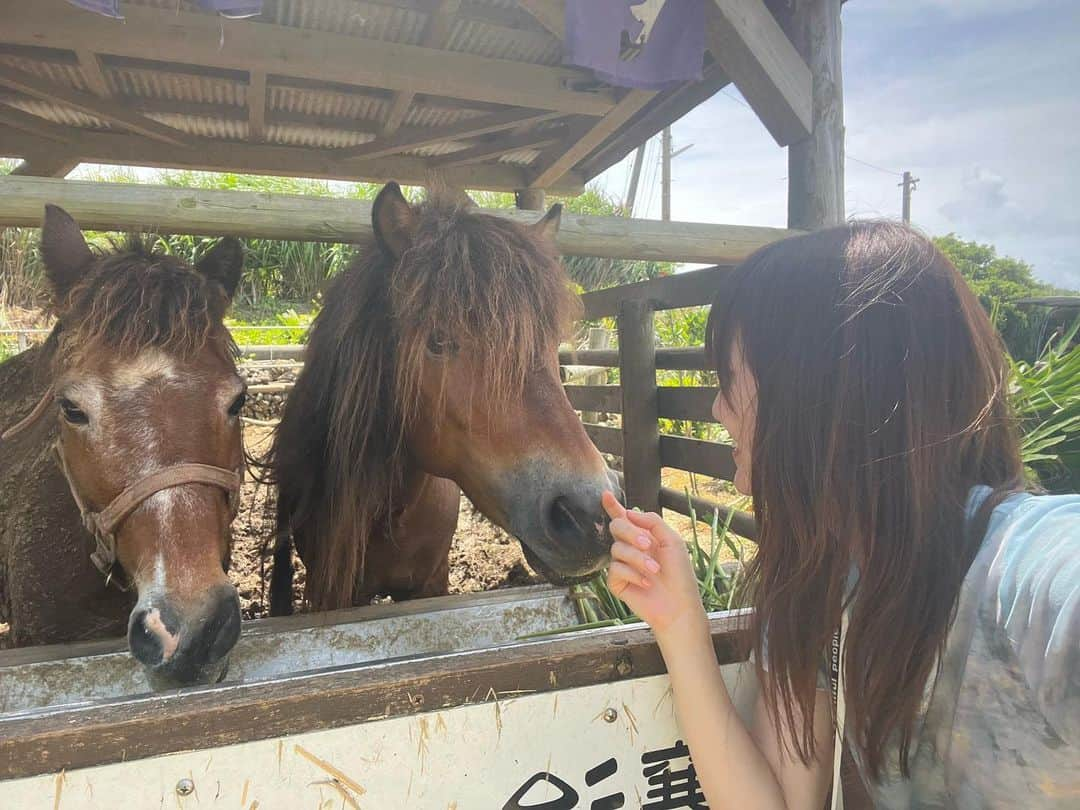 菅井友香さんのインスタグラム写真 - (菅井友香Instagram)「夏ですね☀️  暑い日が続いていますが、体調は大丈夫でしょうか？ 台風にもお気をつけくださいね。  今まで上げきれなかった 夏の思い出写真をアップしますね✨  #与論島  #卒業写真集 #大切なもの  #オフショット」8月10日 18時55分 - yuuka_sugai_official