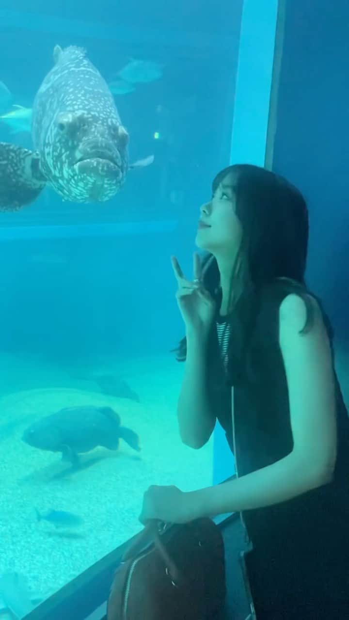平山真衣のインスタグラム：「海遊館デート🦈🐟   まいと魚どっちがすきーᜊ • ̫ • ᜊ？笑    最後までちゃんと見てね🦀🦀  #海遊館#水族館#夏コーデ#夏服#NMB48#02」