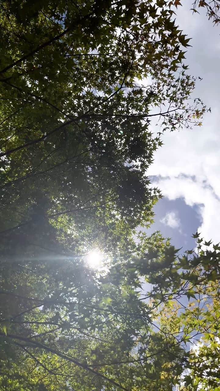 山口淳一のインスタグラム：「Summer in Kyoto.」