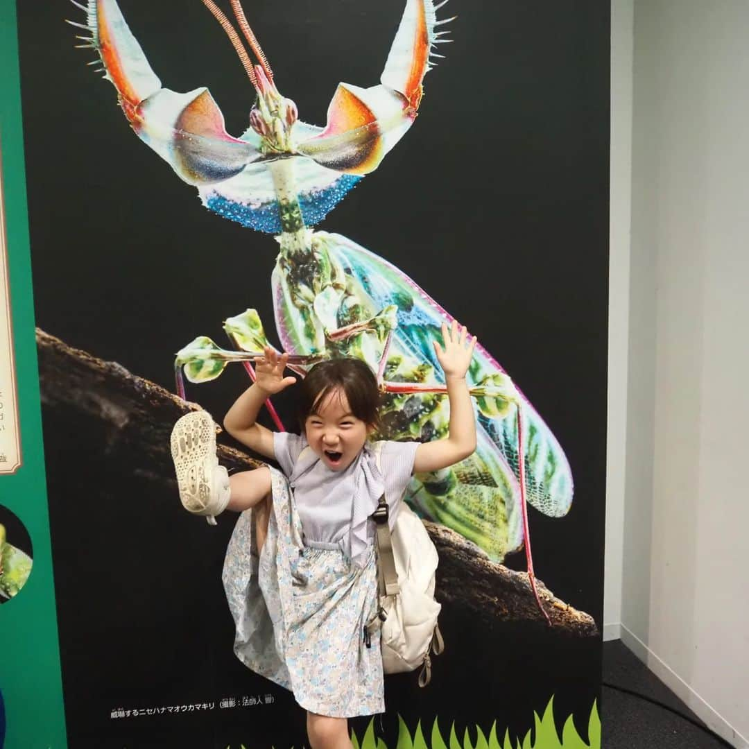 Kuboi Ayumiさんのインスタグラム写真 - (Kuboi AyumiInstagram)「ヘラクレスオオカブト（生きてます！）と記念撮影♡  娘たちと一緒に「大昆虫展 〜夏休みの大研究！わくわく昆虫ラボ〜」へ。  自由研究に役立つ標本やパネルが並んでいたり、世界の珍しいカブトムシ、クワガタもたくさんいます。 ふれあいの森では実際にカブトムシやクワガタと触れ合えるのですが たくさんいるので、腕にのせたり、みんな楽しそう。  スタッフのお兄さんがおしりを優しくトントンして、手にのせてねと 触り方なども教えてくれるので、ママは見守り担当で（笑） 自由研究にもピッタリな教室やワークショップもあるので、スケジュールをチェックしてみてくださいね。 夏休みの宿題のネタにもぴったり。  入り口でもらった大昆虫展オリジナルのサンバイザーも気に入って おうちでもかぶっています。  ■大昆虫展 〜夏休みの大研究！わくわく昆虫ラボ〜  東京スカイツリータウン・ソラマチ5階 「スペース634」 東京都墨田区押上1-1-2  2023年7月15日（土）〜9月3日（日） 10:00〜18:00（毎週金・土曜は20:00まで） ※会期中無休、最終入場は閉館15分前まで  @mushi_bunbun  ○+●+○+●+○+●+○+●+○+●+○+●+○+●  @himekagami　←check♡  おうちごはん が楽しくなるお取り寄せグルメ や 簡単＆時短ごはん、育児情報など発信中！ 投稿が気に入ったら保存&フォローしていただけるとうれしいです。 いつもありがとうございます(^^)  ○+●+○+●+○+●+○+●+○+●+○+●+○+●  #大昆虫展 #東京スカイツリー #スカイツリー #夏休みイベント #イベント #展覧会 #夏休み #昆虫 #虫 #カブトムシ #クワガタ #自由研究 #夏休みの宿題 #夏休みの過ごし方 #ヘラクレスオオカブト」8月10日 21時03分 - himekagami