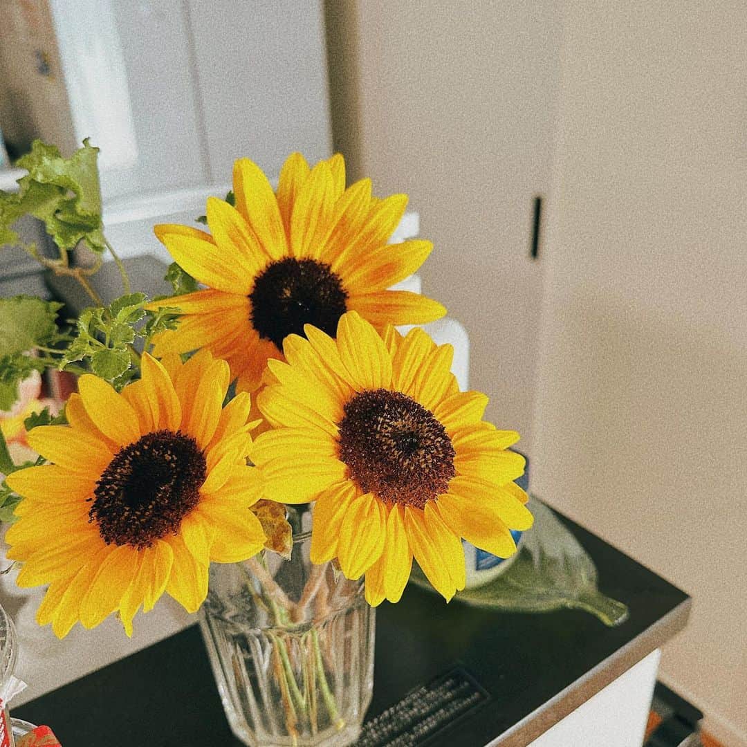 川崎美海さんのインスタグラム写真 - (川崎美海Instagram)「🌻  ちょっと前だけど、 旦那氏が定期的に買って来てくれるお花。 お花だあいすきっ なんだか疲れたなぁって時もお花見ると ほんのちょっと疲れが吹っ飛ぶ ほんのちょっとニコッてなる😌  幸せだねぇ💐 いつもありがとっ @matsuda__shin」8月10日 21時10分 - kawasaki.myu