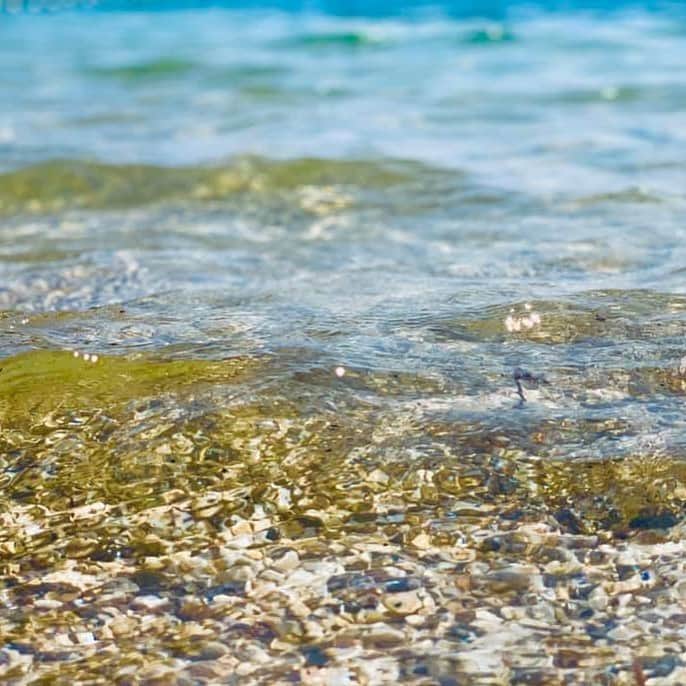 九州電力さんのインスタグラム写真 - (九州電力Instagram)「透明度バツグンの穴場ビーチ🌊 . 宮崎県串間市にある「高松海水浴場」は、穏やかな波と全国トップクラスの水質が特徴の県最南端に位置する海水浴場です🔱 湾内にあるため波が穏やかで子どもも安心して利用することができます✨  防波堤に沿って咲く赤いハイビスカスや椰子が南国ムードを漂わせるビーチです🌴  ----------------------------------------------- 高松海水浴場 開設期間：～8月27日（日） 時間：9：00～17：00 住所:宮崎県串間市高松 TEL:0987-55-1126（串間市商工観光スポーツランド推進課） -----------------------------------------------  ※写真提供：高松エリア活性化委員会 ※写真は過去に撮影されたものです。 . お届けする九州の風景が、皆さまの元気や癒しになれば幸いです☘️ . #九州電力 #宮崎 #串間市 #高松海水浴場 #高松キャンプ公園 #宮崎県最南端 #海水浴場」8月16日 17時00分 - kyuden_official