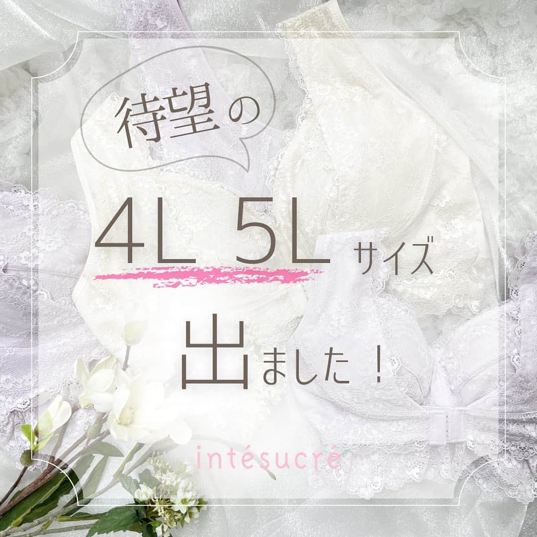 のインスタグラム：「𖧷 ⁡ 待望の… ⁡ 【4L 5L サイズ】出ました❣️ ⁡ ⁡ レースたっぷりで可愛い　[脇高お部屋ブラ] ⁡ ⁡ 「大きなサイズがほしい！｣というご要望を受けて・・・ ⁡ ⁡ ついに新サイズが登場！ ⁡ ⁡ より多くの方に使っていただけるようになりました❤️ ⁡ ⁡ 𓇬  𓇬  𓇬 ⁡ ⁡ 楽な着け心地ながら、脇高設計で安心のホールド感❣️ フロントホックの仕様で、サイドの広がりを抑え、 バストを内側に寄せます💕 ベルトにはパワーネットを使用しているので、 バストを正しい位置にキープ✨ ⁡ ⁡ intésucré ［脇高お部屋ブラ］ TBN004 new size:3L-4L / 4L-5L color: IV、BK、LA ⁡ ※既存サイズはこちら S~M / M~L(ut) / M~L / L~LL (ut) / L~LL / LL~3L (ut) / LL~3L ⁡ color:IV.BK.LA.GY.NB.PI.RP.GR ⁡ ⁡ ⁡ ✈︎オンラインショップへは最後から2番目の画像をタップ！ ⁡ 気になったら右の保存マークを押して保存♡ ⁡ ⁡ ⁡ ⁡ ｡.｡:+* ﾟ ゜ﾟ *+:｡.｡:+* ﾟ ゜ﾟ  ⁡ ⁡ ⁡ 下着にまつわるご相談はDMより承っております💗 ⁡ ▷ ▷ ▷ @intesucre_official  ⁡ ⁡ ⁡ ｡.｡:+* ﾟ ゜ﾟ *+:｡.｡:+* ﾟ ゜ﾟ  ⁡ ⁡ ⁡ お一人お一人のご要望に合わせた下着選びを ⁡ お手伝いさせていただきます♡ ⁡ お気軽にスタッフにお声がけください！ ⁡ ⁡ ご来店をお待ちしています♪ ⁡ ⁡ ⁡ 𓂃  ୨୧  𓂃 ⁡ ⁡ ⁡ #脇高お部屋ブラ  #お部屋ブラ #ルームブラ  #ナイトブラ  #レース #可愛いブラ  #大きいサイズ  #プラスサイズ  #プラスサイズファッション  #悩み #解決 #下着通販 #下着好き #下着ブランド #ランジェリーショップ #下着専門店  #intesucre #アンテシュクレ」