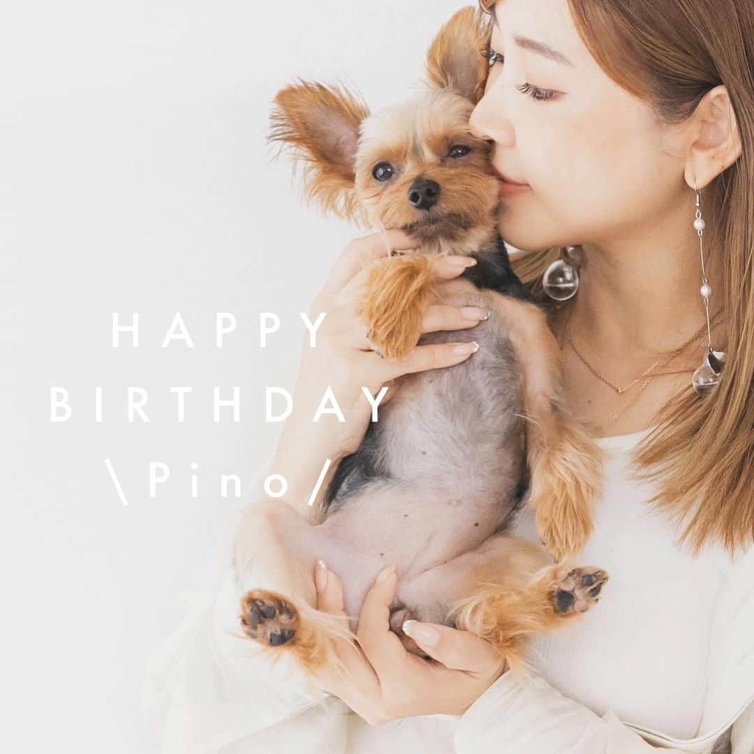 池田沙代さんのインスタグラム写真 - (池田沙代Instagram)「ぴのさん🐶 お誕生日おめでとう🥰🤍  もう4歳🥺早いなぁ〜🥺  📷: @punkt_photo」8月10日 13時50分 - sayopi