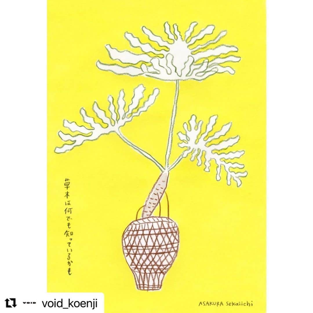 朝倉世界一のインスタグラム：「本日も開催中です🌱  Repost  @void_koenji  ・・・ 【会期8/13(日)まで】  朝倉世界一＆DAISAK 二人展 『新しいリビングへの提案 〜for living new life』  8/10(木)晴れ☀️オープンしました。本日は20時まで営業いたします。 @askura1 @daisak_xxl   会期は残り4日。2人の共演をお見逃しなく！  ◎作品通販をご希望の方は、トップページのリンクよりお進みください。  #朝倉世界一 #DAISAK #japaneseillustration #陶器 #陶芸 #ceramics #雑草 #漫画 #manga #高円寺VOID」