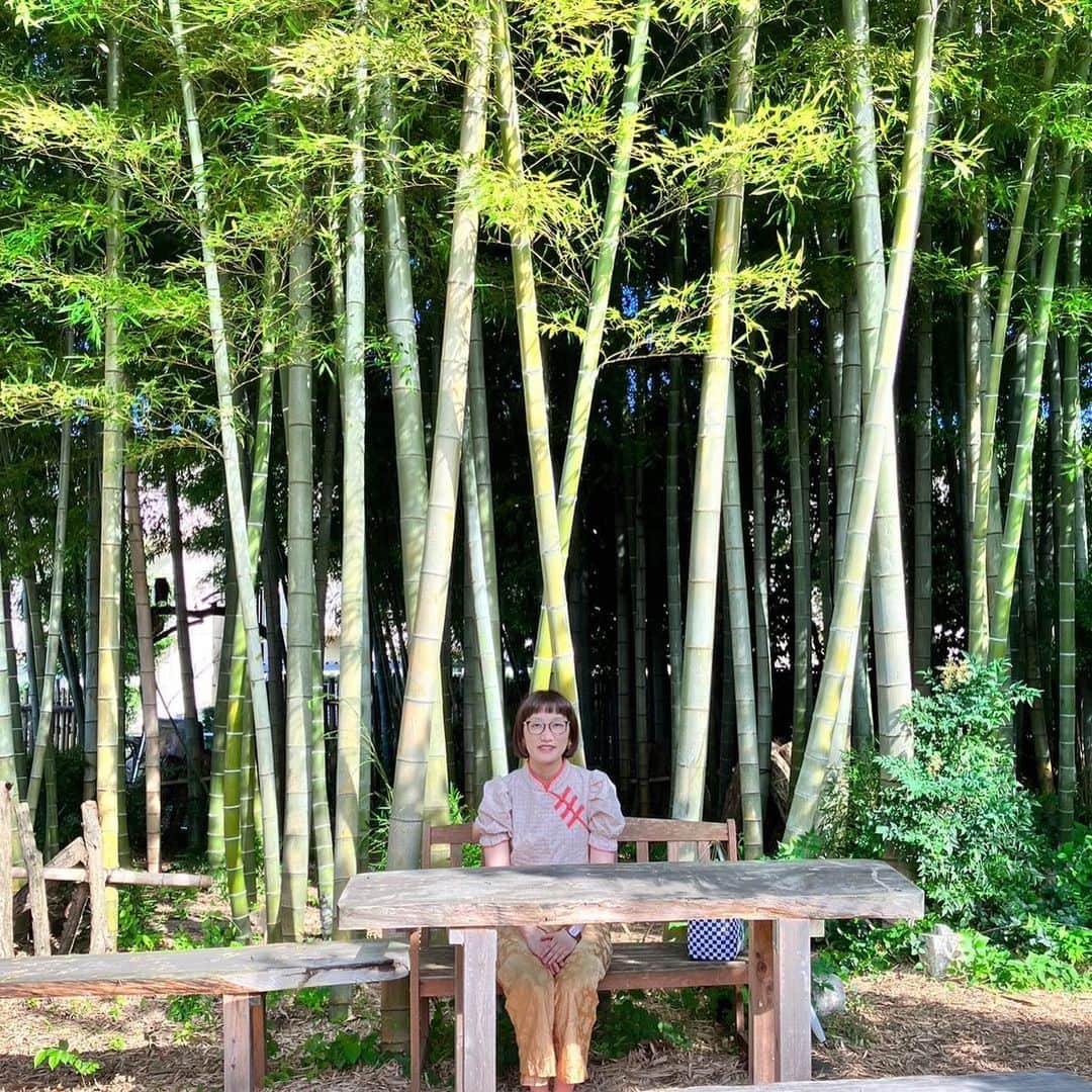 松浦志穂のインスタグラム：「京都か鎌倉の竹林にでも行ったかのよう  国立です。  @cafe_okimoto  @kasugai_beer   @dear_sisterhood  のチャイナシャツの感じ優先すると中国にでもいるかの、、それはさすがに違うかぁ🥴🥴」