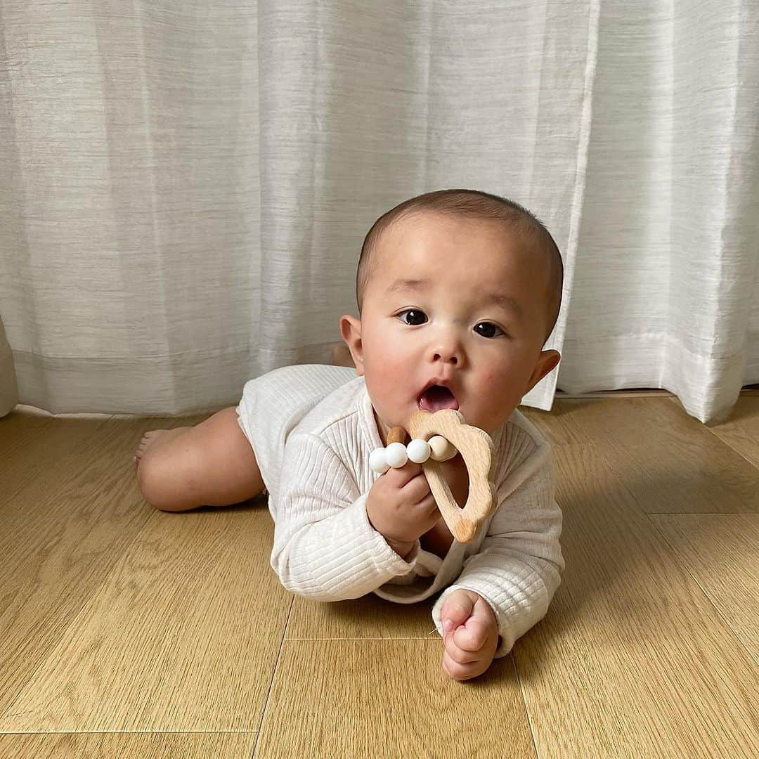 花王 メリーズ Merriesのインスタグラム：「最近、歯が2本生えてきたという赤ちゃん👶 . 歯固めがお気に入りの様子ですね💕 . 丈夫な歯と歯茎が育ちますように😌 . こちらの素敵なお写真は @kouha_baby さんのお写真です @kouha_babyさまのアカウントはとっても素敵なお写真ばかりですので、みなさんもぜひご覧になってみてくださいね😍 --------------------------------------------------- 花王の赤ちゃん用品ブランド「メリーズ」公式アカウントです👶 . 「#メリーズ」「#メリーズファーストプレミアム」で投稿いただいた中から素敵なお写真をご紹介していますので、ぜひ投稿してみてくださいね✨ . 新発売！パワフル通気でムレ発散。メリーズで「#ずっと肌さら」🎵 --------------------------------------------------- . . #メリーズファーストプレミアム #赤ちゃん #ベビー #成長記録 #子育て #子育てグラム #赤ちゃんのいる生活 #新米ママ #プレママ #ママカメラ #親バカ部 #ハイハイ #赤ちゃんのいる暮らし #赤ちゃん写真 #赤ちゃん動画 #ベビスタグラム #0歳 #1歳 #2歳 #育児 #育児あるある #ベビーフォト #ベビーグッズ #オムツ #オムツ姿 #育児グッズ #👶」