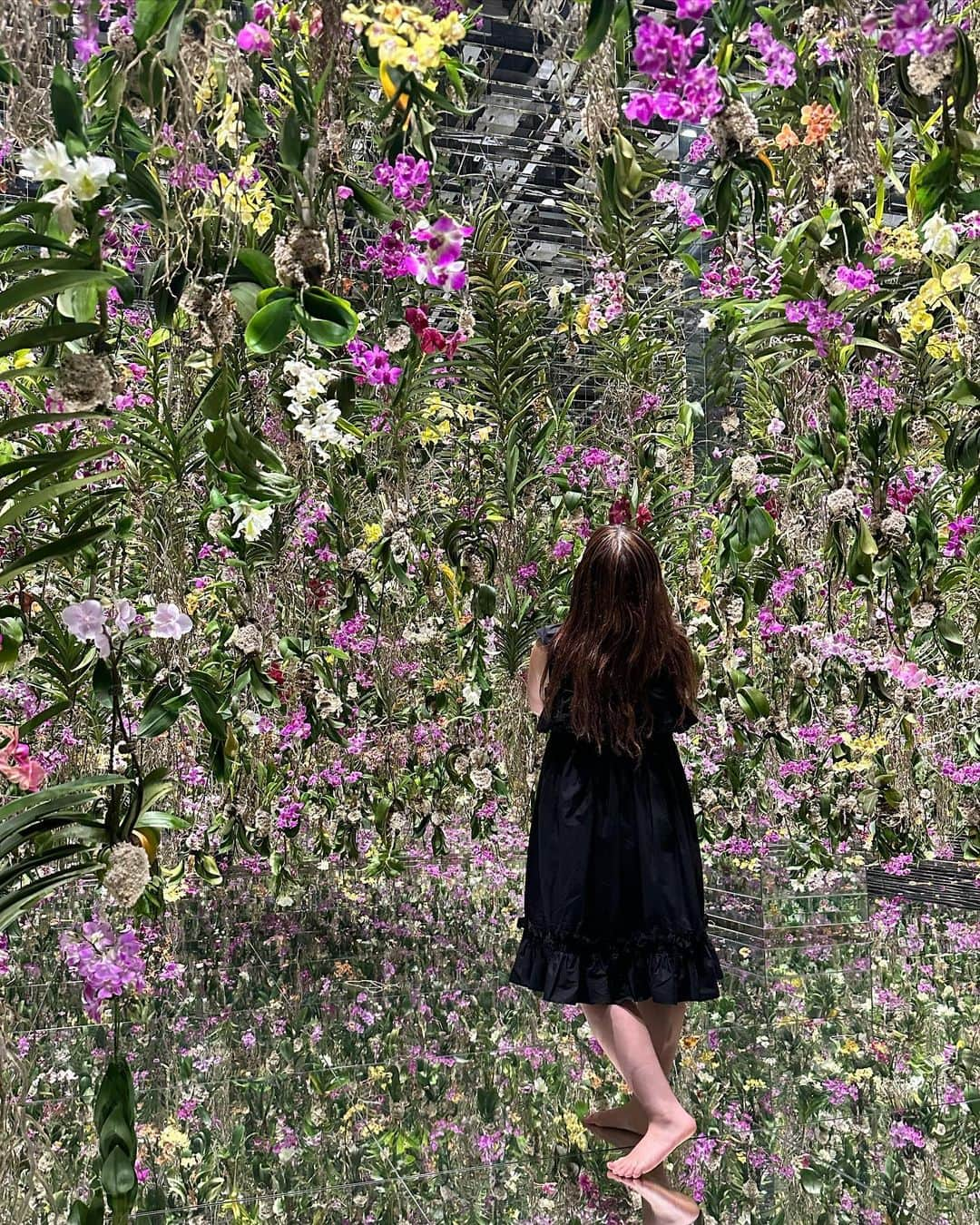 そわんわんさんのインスタグラム写真 - (そわんわんInstagram)「はじめての　@teamlab.planets 🦋」8月10日 16時03分 - _wanco02m