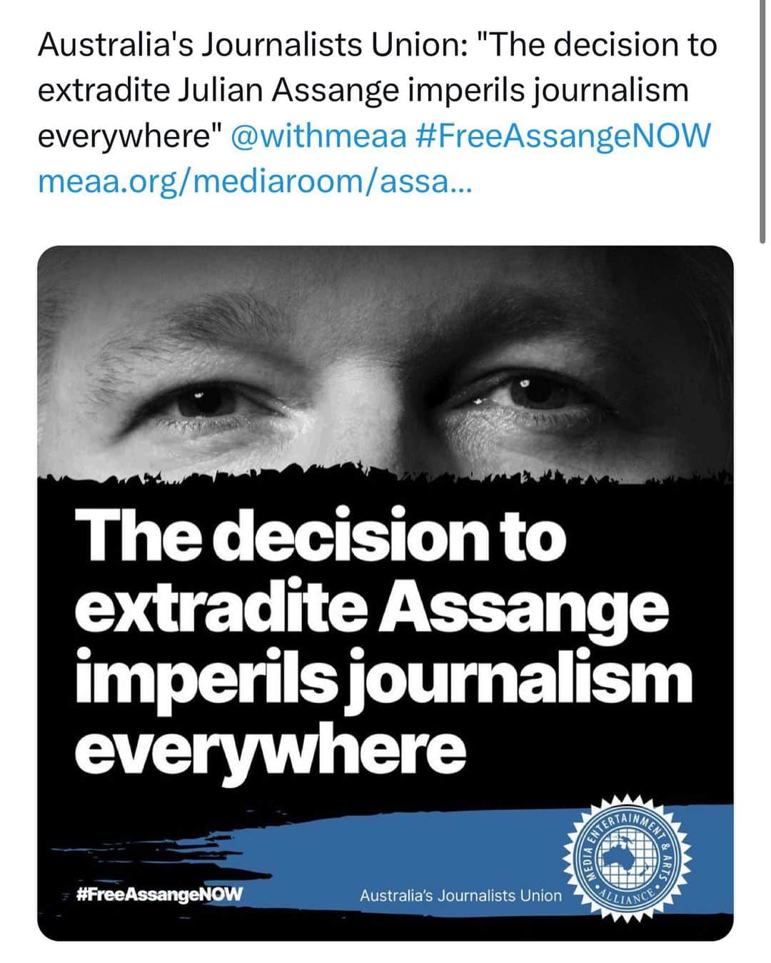 WikiLeaksのインスタグラム：「@withmeaa」
