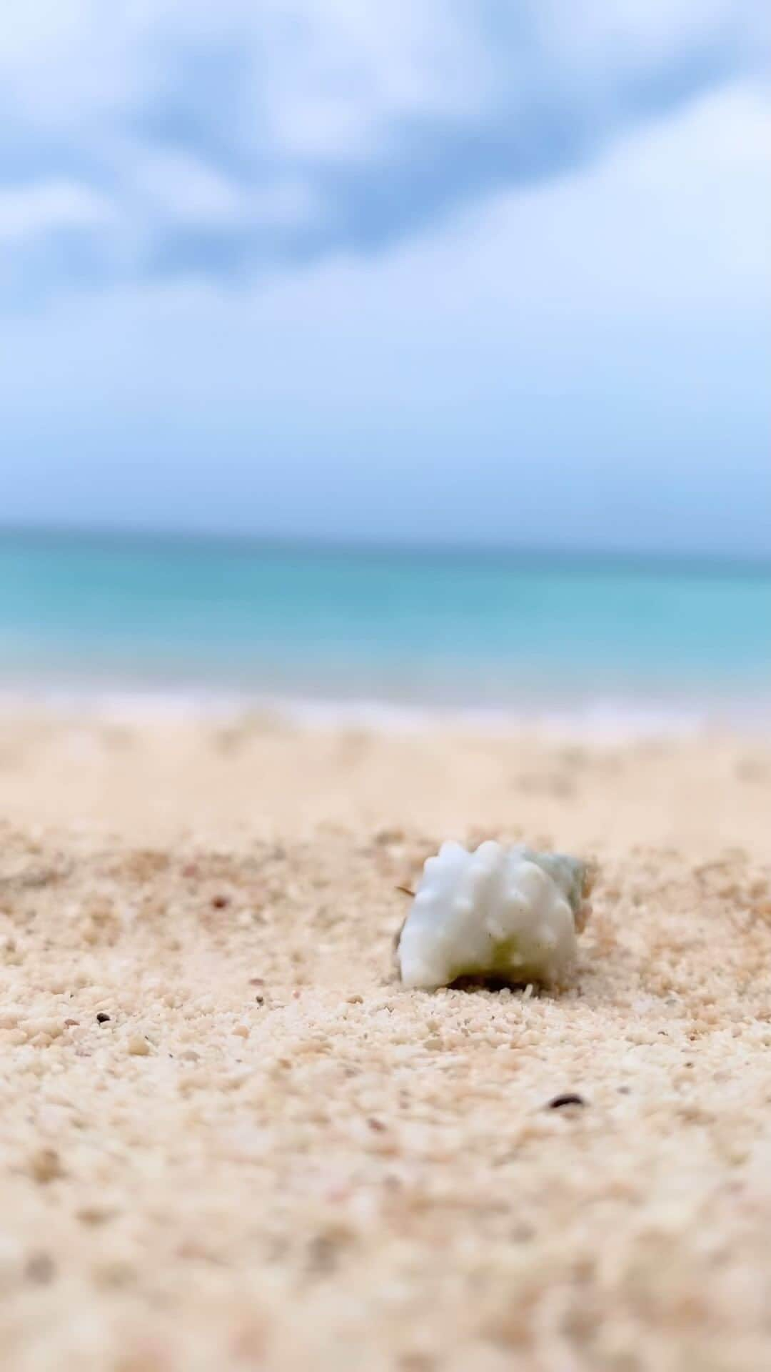 酒井美帆のインスタグラム：「🏝️夏の思い出🐚@波照間島  私の夏の定番は、島への一人旅🐠  ことし初めて行ったこの島は 私にとって特別な島になりました✨  流れる時間、人、景色… すべてが素晴らしかった☺️また行こう🏝️✨」