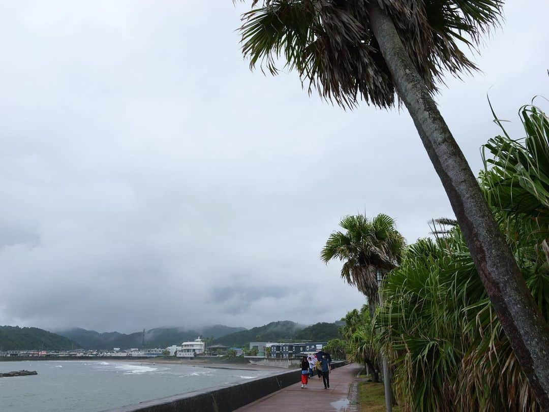 宇野陽介さんのインスタグラム写真 - (宇野陽介Instagram)「宮崎市めっちゃオシャレ😎 台風🌀前で、サーファーが沢山街中に居てロケーション最高ですね。  次回は、ゆっくりライダー撮影で行きたいな。  BMXが宮崎国体にデモンストレーション競技として実施されます。 https://www.city.miyazaki.miyazaki.jp/health/sports/319251.html  #aresbikes  #bmx #flatland #freestylebmx #lumixjapan #lumix #宮崎 #宮崎市 #自転車　 #国スポ #国民スポーツ大会」8月10日 16時57分 - yorkuno