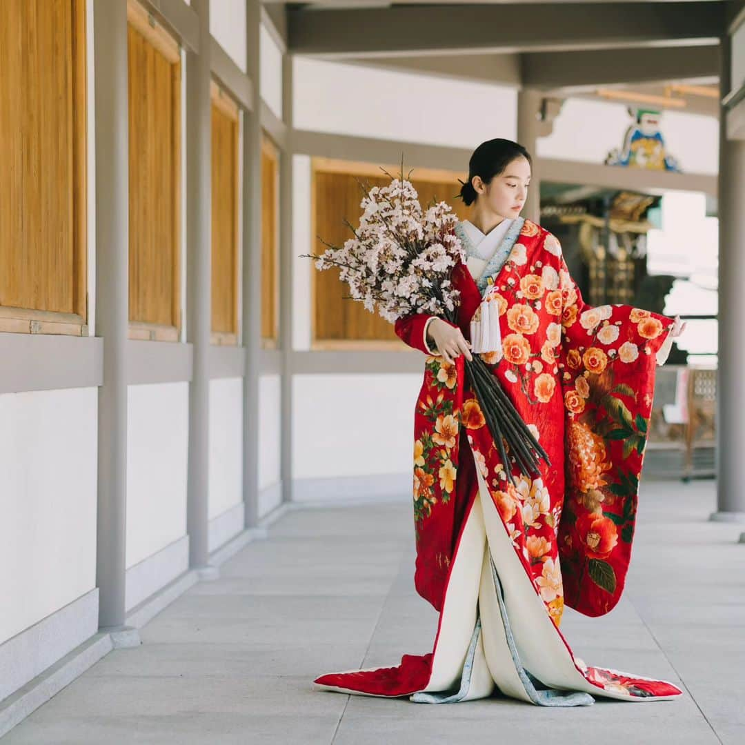 和婚スタイルのインスタグラム：「人気神社での挙式と境内撮影⛩️ 神社ならではの神聖な雰囲気の中、素敵なお写真を残していただけます✨  . 神社のご提案から予約方法のご案内まで、ぜひ和婚スタイルへお任せください！  . 【日本の美しい結婚式を紡ぐ】 @wakonstyle  −−−−−−−−−−−−−−− #和婚スタイル  #和婚スタイル花嫁 #神社  #神前式 #仏前式 #和装コーデ #秋挙式 #2023秋婚 #2023冬婚  #花嫁  #新郎 #ウェディング #結婚式  #和装 #着物  #結婚式コーデ  #和装婚  #前撮り  #和装前撮り #神社挙式 #白無垢 #色打掛 #引振袖」