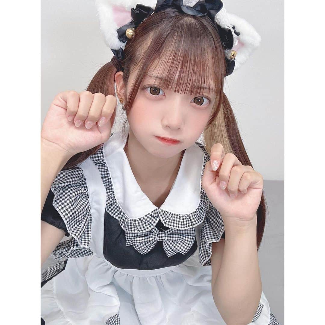 みーみさんのインスタグラム写真 - (みーみInstagram)「ぬこ！ぬこ！ぬこ！ #ボンボンtv #メイド服」8月10日 18時25分 - mi__mi0311