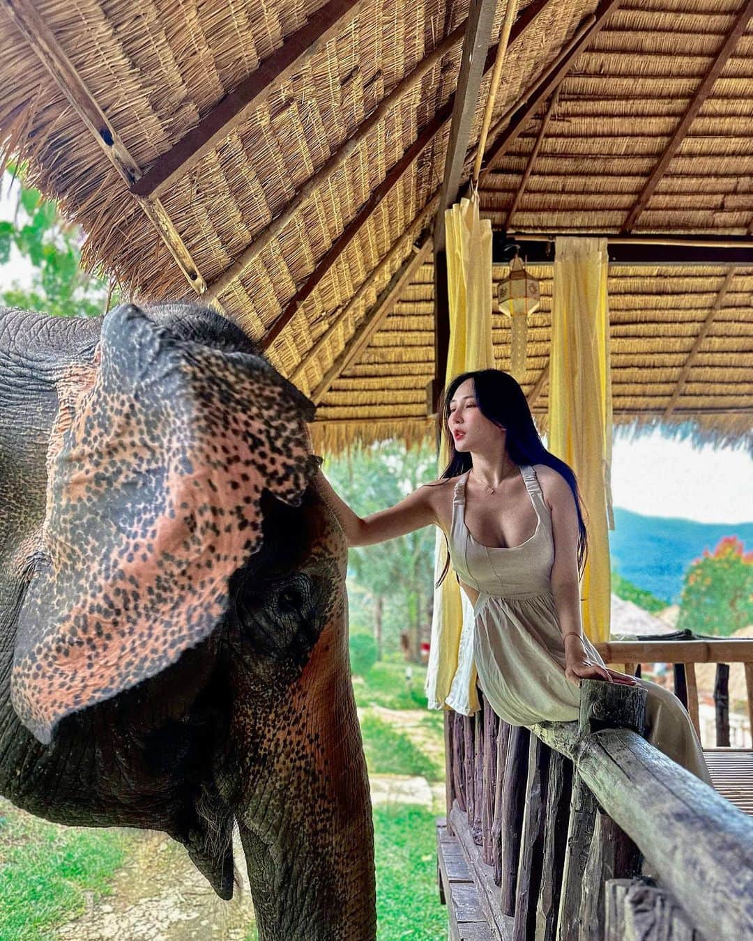 漢娜Hannahのインスタグラム：「來到清邁的 @chailaiorchid  這裡的大象不會表演不會被豢養更不會被騎 自由自在的生活在保護園區 住在這裡會有大象🐘喚醒你 太夢幻了吧 #清邁 #清邁大象 #泰國 #清邁住宿 #thailand #thailandtravel」