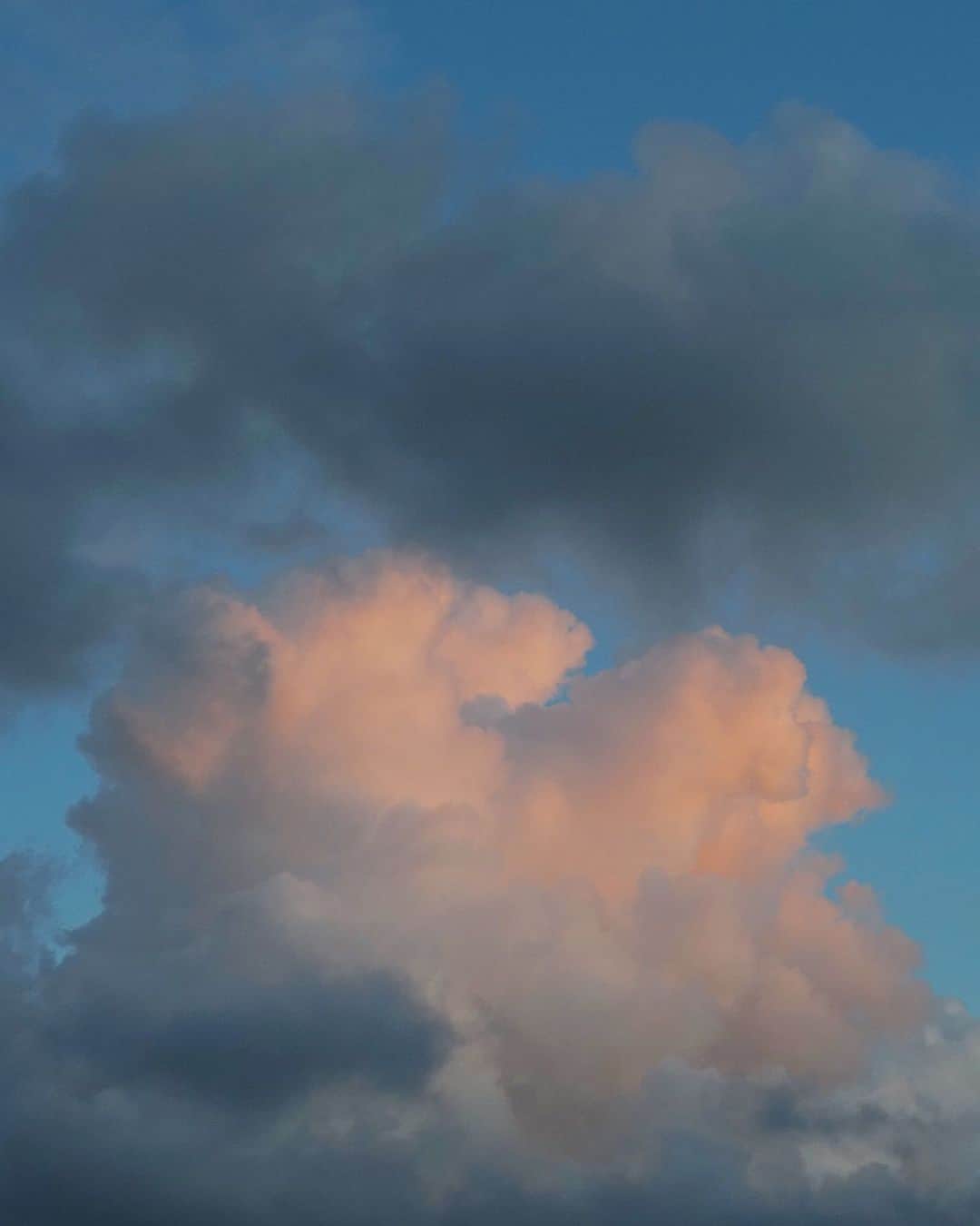 花盛友里のインスタグラム：「夏の空。」
