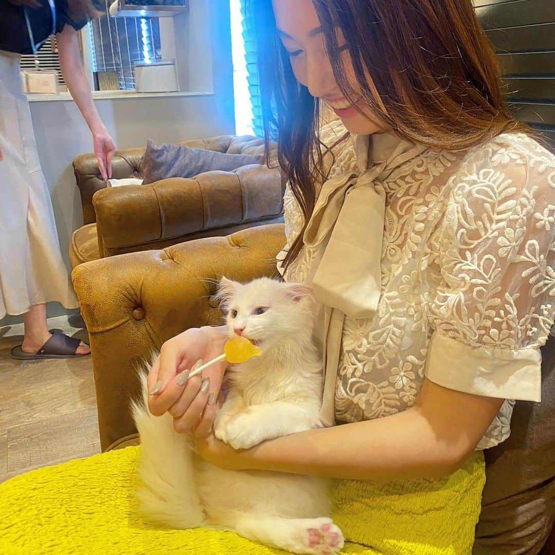 岩下真奈さんのインスタグラム写真 - (岩下真奈Instagram)「2023.08.10 #daily 🕊 * #猫カフェMOCHA アンバサダーとして 新しく入った子猫ちゃんの名付けをさせて頂きました😭✨️ . 命名『マシェリ』ちゃんです🩷 . . 📍渋谷公園通り店 ( @mocha.koendori )の メインクーンの女の子です！🐈🤍 . とても綺麗な白色に、小顔で美人な顔立ちで、 しかもおめめがオッドアイなの…🟡🔵 . 見た目に合う綺麗で繊細でミステリアスな名前をつけてあげたい❣️と候補をいくつか持って行ってみたんだけど、 思ったよりやんちゃでおてんば娘で…🥹🤍 . やっぱ会ってみないと名前って付けれない！となり、その場で合う名前を吟味して、 私と同じ頭文字「マ」に、音の楽しいサ行やラ行を入れたい… . からのマシェリ💖イメージにとってもぴったり!! . しかもマシェリってフランス語で 𝒎𝒂 𝒄𝒉𝒆́𝒓𝒊𝒆「私の愛しい人」という意味なの。 . 名付け親として子猫ちゃんに付けるには この上なくピッタリ過ぎて即決でした🥹💭🤍 . . みんながマシェリちゃんって呼ぶの感慨深いし、 愛されてるの見ると嬉しい気持ちになる…‪‪❤︎‬ . 是非渋谷公園通り店にマシェリちゃんに会いに行ってみてね🐈💕 . . ※名付け親イベントということでスタッフさんの許可を得て特別に抱っこさせて頂きました。 . . . #mochaマシェリ #猫カフェMOCHA公式アンバサダー #猫カフェ #猫カフェmocha #猫カフェモカ #猫 #猫好きさんと繋がりたい #猫のいる暮らし #猫動画 #猫部」8月10日 19時07分 - mana_mdleam