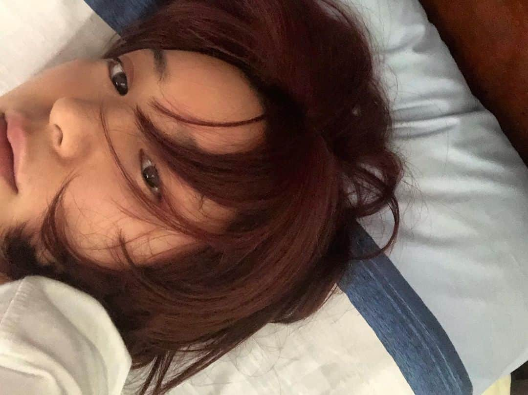 新田桃子のインスタグラム：「🛏️」