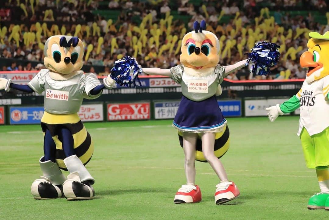 アビスパ福岡さんのインスタグラム写真 - (アビスパ福岡Instagram)「#福岡ソフトバンクホークス #ハニーズ と#アビスパチアリーダーズのチアコラボ✨  4回表の「#よかよかダンス」 7回表の「#いざゆけ若鷹軍団」 を一緒にパフォーマンス😆👍  コラボの立役者、#槙野智章 さんもありがとうございました🙌🏻  次は9/16（土）#名古屋グランパス 戦でも #ハニーズ の皆さんとコラボ予定🐝✨  ぜひぜひ‼️#ベスト電器スタジアム へお越しください🏟️  #アビスパ福岡 #avispa #sbhawks #honeys #PayPayドーム #J1 #jleague #ベススタ」8月10日 19時30分 - avispaf
