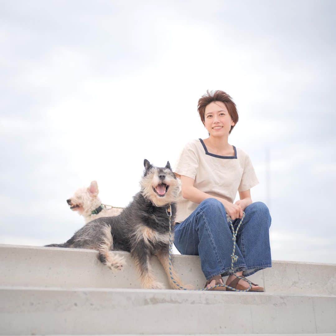 甲斐麻美さんのインスタグラム写真 - (甲斐麻美Instagram)「🌄🌄🌄  風の 強さよ  ビューン！  #20230810 #kaicoの好日 #いぬとわたし #犬とわたし #元保護犬 #保護犬を家族に」8月10日 20時03分 - kaico_asami