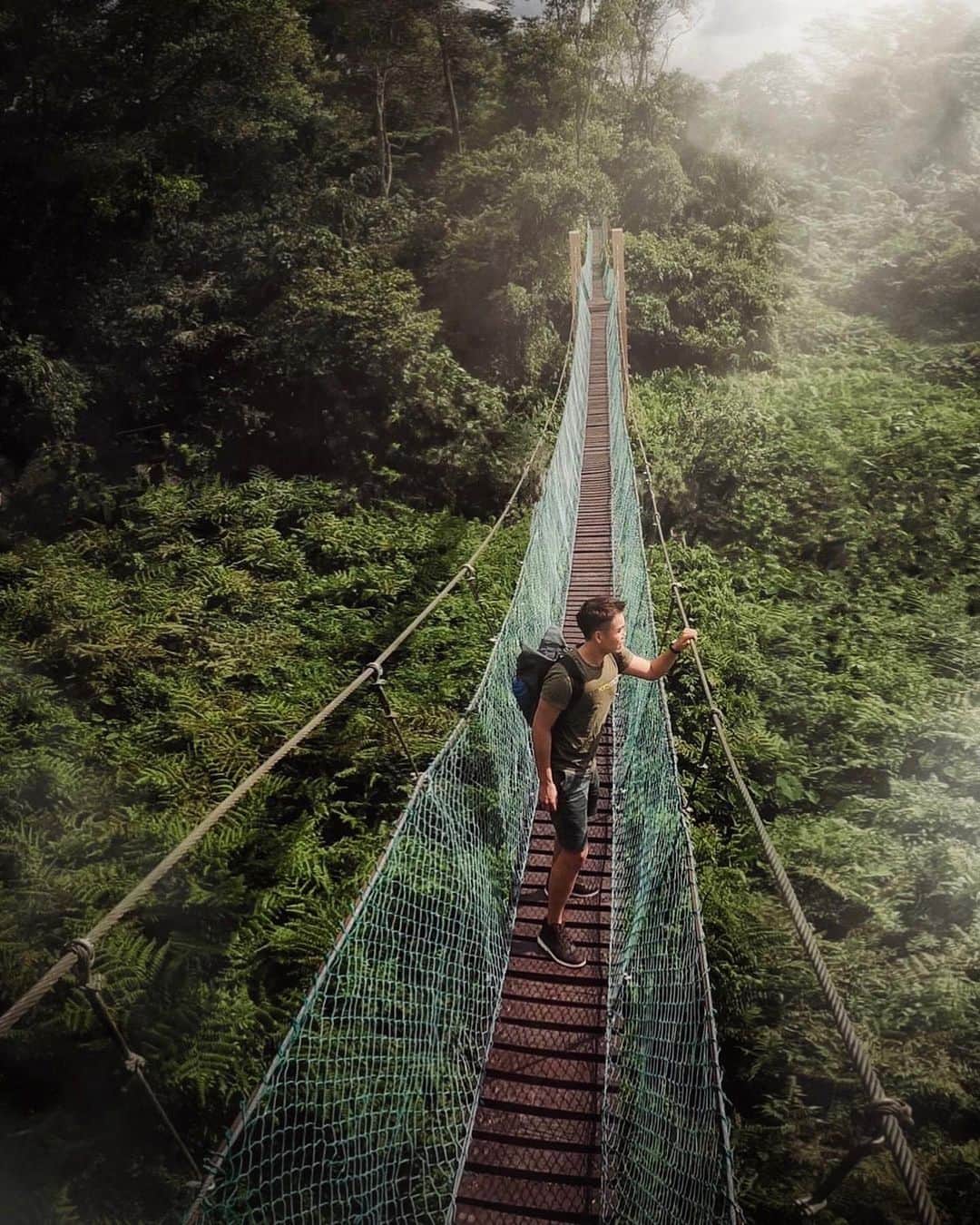 キャセイパシフィック航空のインスタグラム：「Penang is best enjoyed slow🚶🏻. For outdoor travellers, there’s the option to spend the day birdwatching on hanging bridges in the Air Hitam Dalam Educational Forest🦜.  For the urban explorers, George Town, adorned by street art and seasonal decorations, can bring even the most blistering pace to a halt in awe of the Penang capital’s old world charm.  From nature to culture, Penang is ever so calming for the soul. Come have a Malaysian pulled tea and chill☕!  檳城的真正魅力是慢活🚶🏻。如你喜愛戶外活動，可以選擇遊覽阿依淡達南森林教育園，花上一天在吊橋上寫意地賞鳥🦜。喜愛探索城市也可在檳城首府喬治市來一場午後漫步，觀賞獨有的街頭藝術與裝飾。  你或會為此城古色古香的魅力而驚嘆。無論是當地文化或自然景觀，檳城總令人難以忘懷。如你正計劃到訪這座城市，別忘了品嚐一杯熱騰騰的拉茶☕！  📸@ansontey, @agnes_storytelling, @robbyleedjohari  #cathaypacific #MoveBeyond」