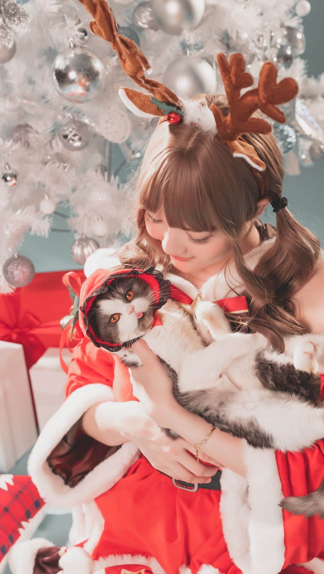 YingTzeのインスタグラム：「In Memory of Precious 12.9.2018 ~ 10.8.2023 🩷  Today my beloved cat , Precious has crossed the rainbow bridge. 🌈 He was diagnosed with Liver Shunt when he was 6 months old and my vet told me that he wouldn’t survive 1 year. But Precious is a fighter and we had 5 good years together. 😢❤️  I don’t have a family so my cats are everything to me . I still remember how I broke down during my livestream when I found out about his condition, it was an incurable disease. But I never gave up , I did my research and with the love and patience from my Dr Mel and her team… we were able to take care of him till he is almost 5 . He would have turned 5 this coming Sept 12th. ❤️  We had a lot of good times together and eventhough this recent year is a little rocky , Precious always bounced back from it. It’s just unfortunate that he suffered a heart attack this morning. It was just too sudden .  I know that he is in a better place now , free from medication and pain but I can’t help but cry . I miss him so much . He is the love of my life and I’m so heartbroken…  Thank you @prestonles.ig for compiling this video for me and thanks for sending me to vet whenever Precious needed treatment . 😢❤️ You are the best cat father ever .  I love you so much Precious . Thank you for being my cat this life , I wish that I could have given your more . Please wait for me and I hope to be reunited with you again when the time comes . 🌈🐱」