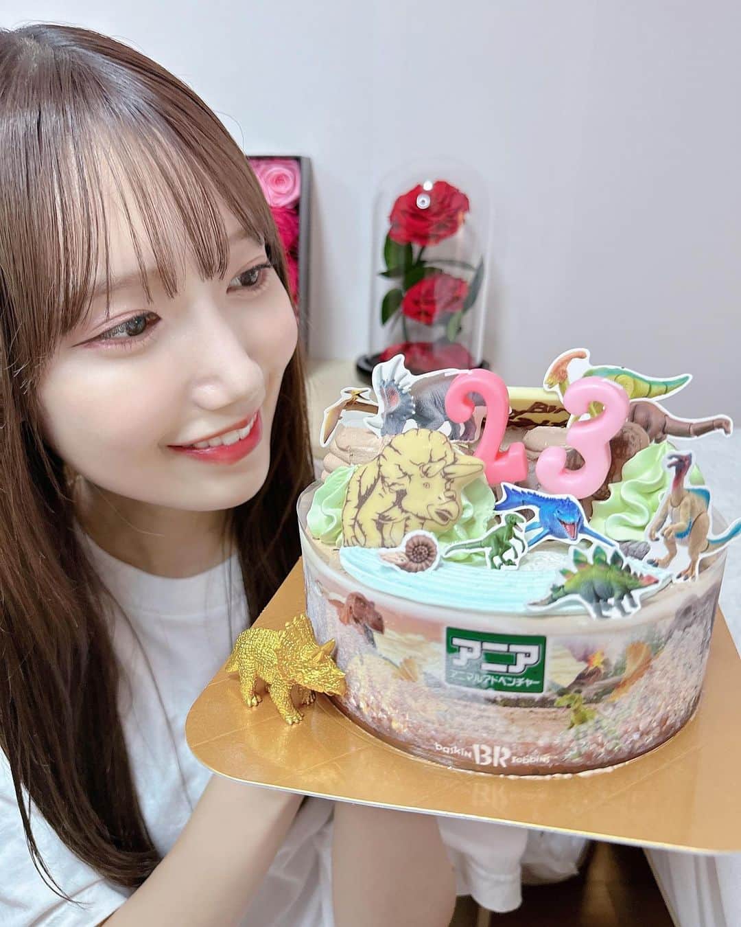 のインスタグラム：「. . 23歳になりました🎂❤︎ . たくさんのお祝いメッセージ ありがとうございます🫧 . 23歳は色んなことに挑戦して たのしいことでいっぱいにできるように 頑張ります！！ . #00 #23歳 #サーティワン #アイスケーキ #恐竜」