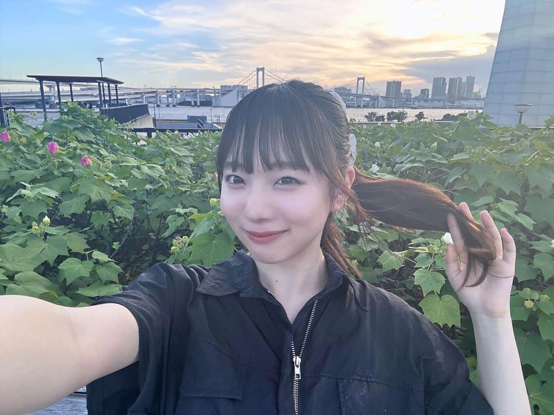 あんのグルメインスタ