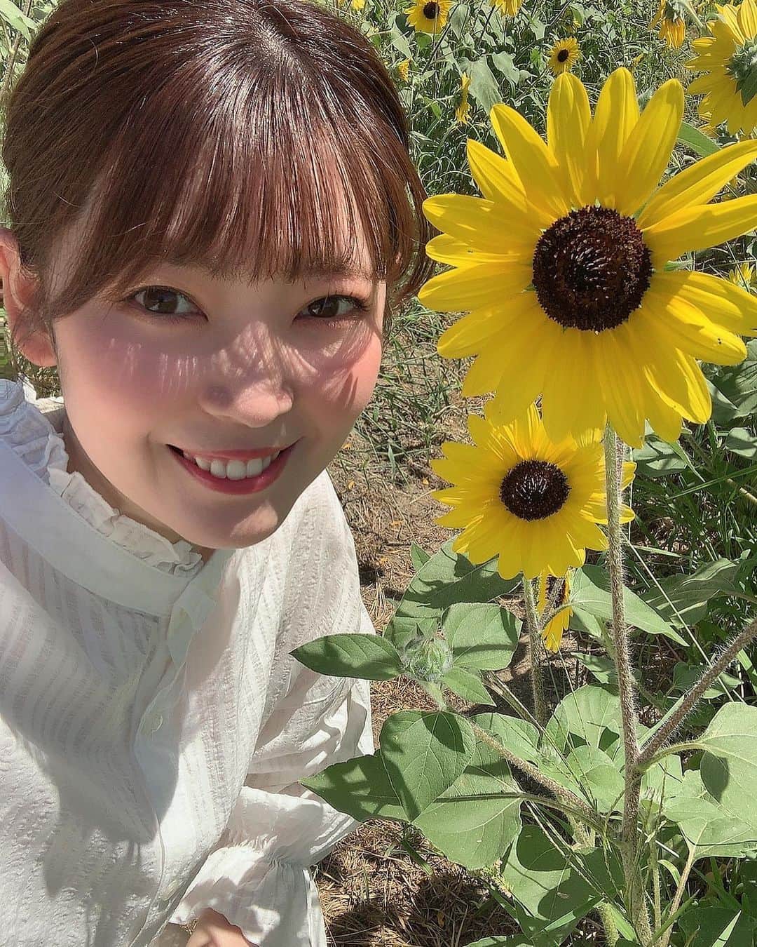 松本ルナのインスタグラム：「夏だ〜😆✨  大好きなヒマワリだ〜！！🌻♡  蜂さんがブンブン🐝飛んでて ビビりながらの笑顔です☺️えへ  ですが！！！  近くでウエディングフォト撮ってる 素敵なお2人がいたのだけど まるで蜂がいないような、いや！ 蜂さえもお祝いの舞をしていて すこぶる笑顔で ハッピーオーラ満載でした😍  幸せって凄い🥺❤️  今年も最高のヒマワリ畑でした🌻  ※滞在時間15分。笑  #わたしの夏休み #ひまわり #🌻  #毎年 #夏の #唯一の #楽しみ  #暑さに弱い #強くなりたい #😂  #奈良 #勝手に奈良観光大使  #馬見丘陵公園 #nara #narajapan #umamikyuryopark  #summer #sunflower」