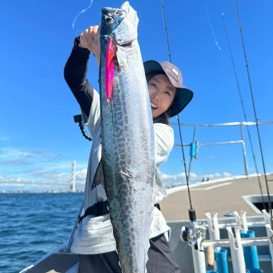 蒼井さやさんのインスタグラム写真 - (蒼井さやInstagram)「今日も今日とて海上調査へ😁 昨日と同じく忠岡港からK'sさんにお世話になり、青物ジギング→サバ＆アジ天国→タチウオジギングを楽しみました☺️ ・ ・ ・ 海の状況は1日変わればガラッと変わる🌊✨️ だから海釣りはやめられないんだな😁✨️ 中でもサワラとギガアジは脂がノリノリで美味しそうでめちゃ嬉しかった😍 ・ ・ ・ 【SAYA's TACKLE】 ●青物・サバ・アジ ロッド▶︎beat PROPAGTE Type_S 2 リール▶︎SHIMANO OCEAJIGGER 2000NRHG ライン▶︎VARIVAS AVANI Jigging 10×10MAXPOWER PE1.5号 リーダー▶︎VARIVAS フロロショックリーダー 40lb ジグ▶︎beat Kai SL 160g/200g フック▶︎がまかつ アシストフック TRIALIMIT シングル ショート 4/0  ●タチウオ ロッド▶︎beat PROPAGTE BLX_1 リール▶︎SHIMANO OCEA CONQUEST CT300HG ライン▶︎ VARIVAS  AVANI Jigging 10×10MAXPOWER PE0.8号 リーダー▶︎VARIVAS フロロカーボン 16lb + 40lb(30cmくらい) ジグ▶︎beat DIFFUSE_R 130g フック▶︎beat タロンフック S  ●SLJ ロッド▶︎beat GOOSE GTS_6 リール▶︎SHIMANO STELLA C3000MHG ライン▶︎VARIVAS プロトタイプ 0.6号 リーダー▶︎VARIVAS フロロカーボン 16lb ジグ▶︎beat ベビージグレイ 45g フック▶︎VARIVAS リトルモンスター 2/0 ・ ・ ・  【遊漁船K's】 大阪府泉北郡忠岡町新浜1-8-11（忠岡漁港内）  090-8375-5454  https://www.ks-osaka.jp/access/  ・ ・ ・  #釣り #釣りガール #Fishing #fishinglife  #Fishinggirl #ジギング  #Jigging  #タチウオジギング  #beat #varivas  #K's」8月10日 22時44分 - saya.aoi