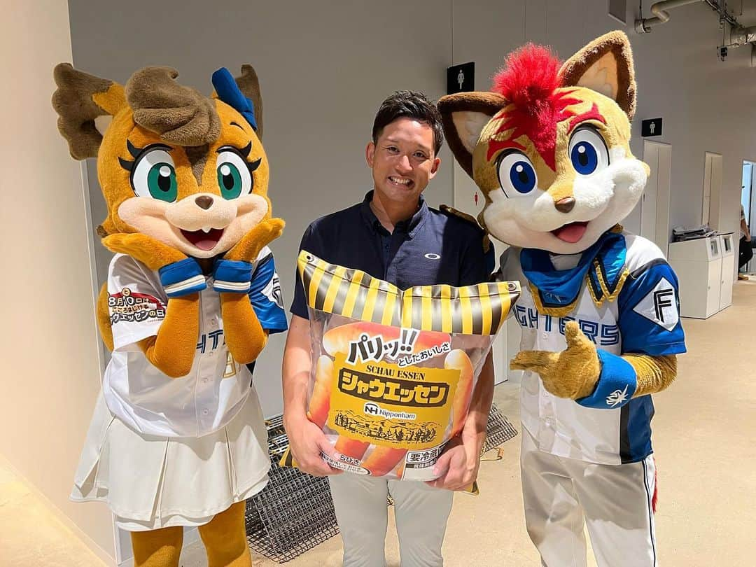 北海道日本ハムファイターズ フレップのインスタグラム