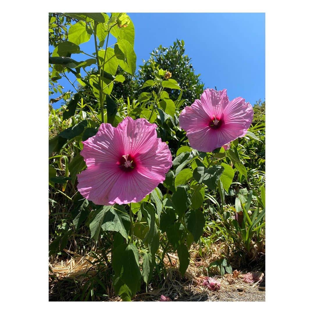 滝口成美さんのインスタグラム (滝口成美naruxx93)