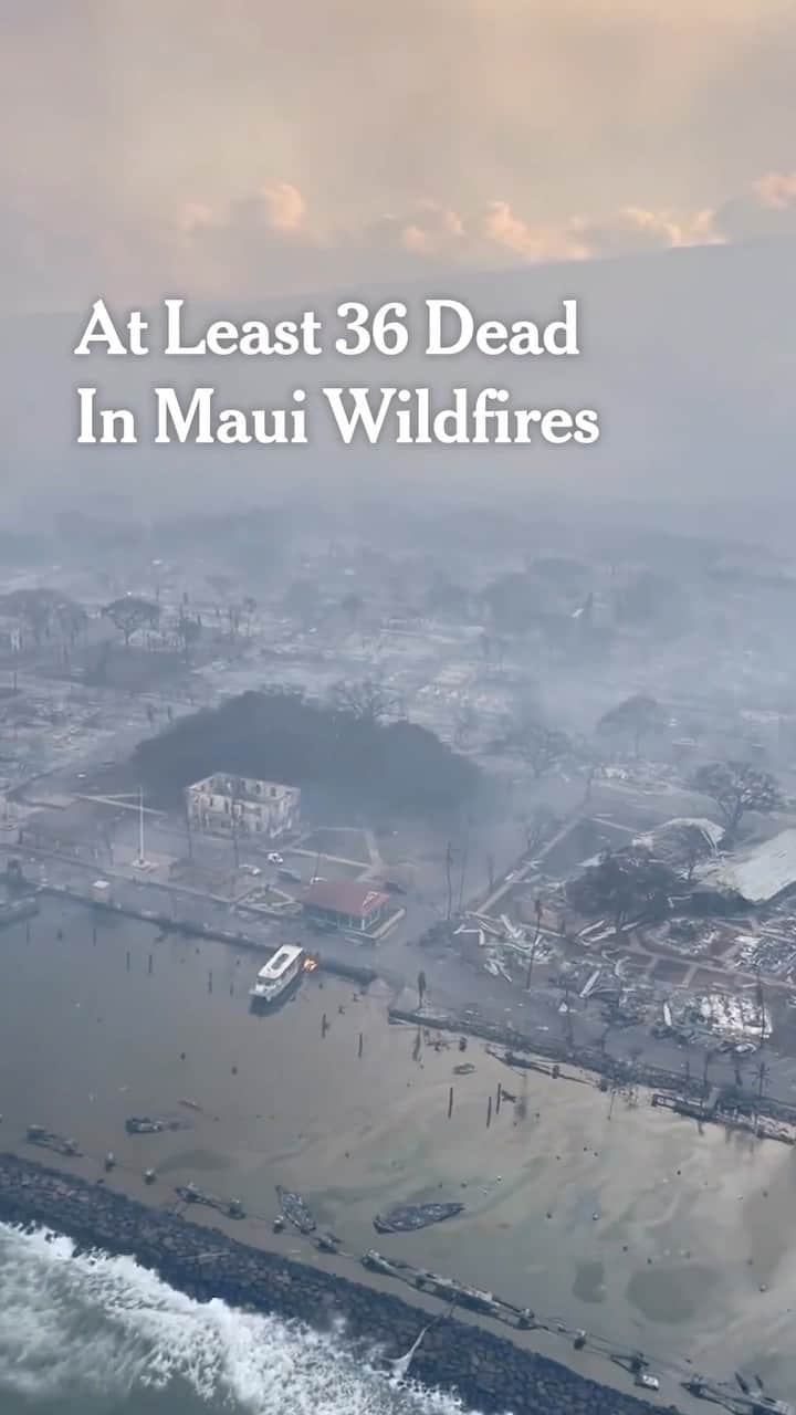 ニューヨーク・タイムズさんのインスタグラム動画 (ニューヨーク・タイムズInstagram)「Death Toll Climbs to