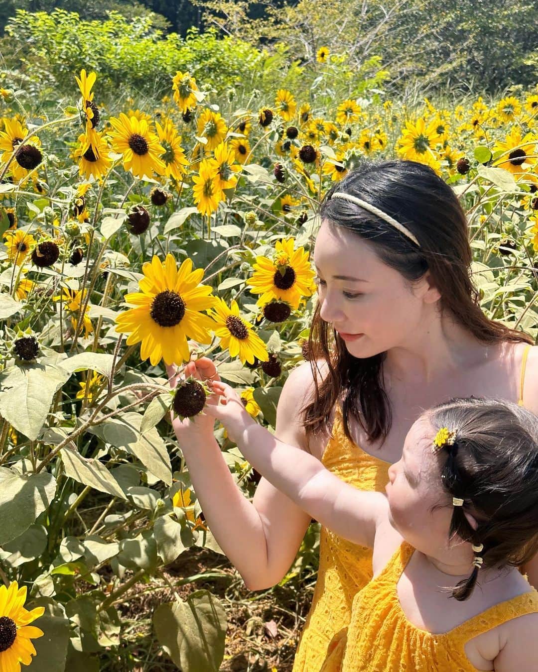 クリスティン・ウェイさんのインスタグラム写真 - (クリスティン・ウェイInstagram)「Summer activities #visitingfarm This is extremely HOT! #ゆめ牧場　#summerfarm #sunflower #summervibes」8月10日 22時54分 - prettywhy