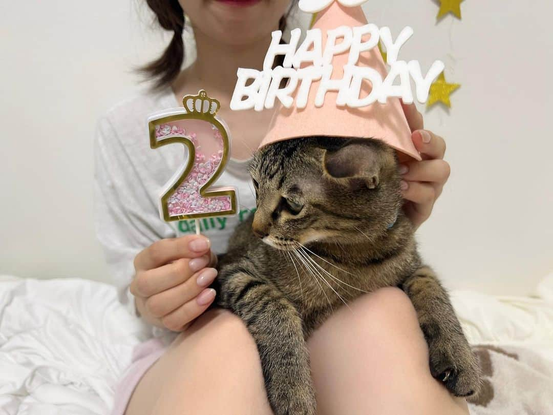 青木詩織さんのインスタグラム写真 - (青木詩織Instagram)「. がむちゃん2歳のお誕生日🎂🫶  賢くて甘えん坊で毎日ベタベタしてくる赤ちゃん👶 2歳の1年も楽しく過ごそうね🤍🤍」8月10日 22時59分 - aokishiori4