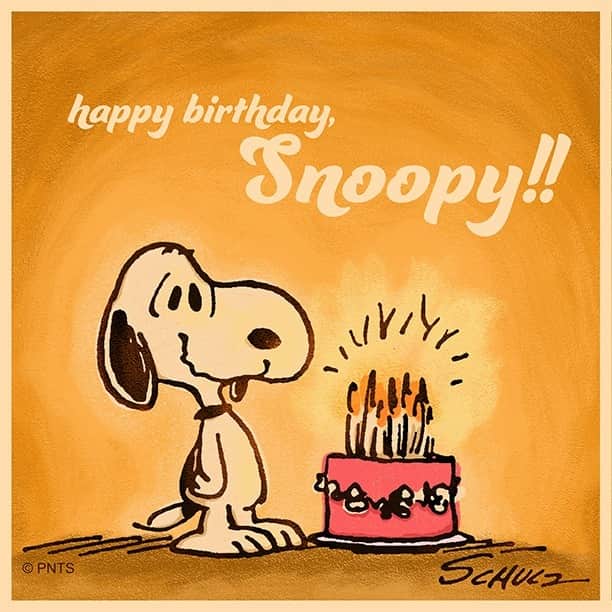 スヌーピーのインスタグラム：「Happy Birthday Snoopy! #HappyBirthdaySnoopy」