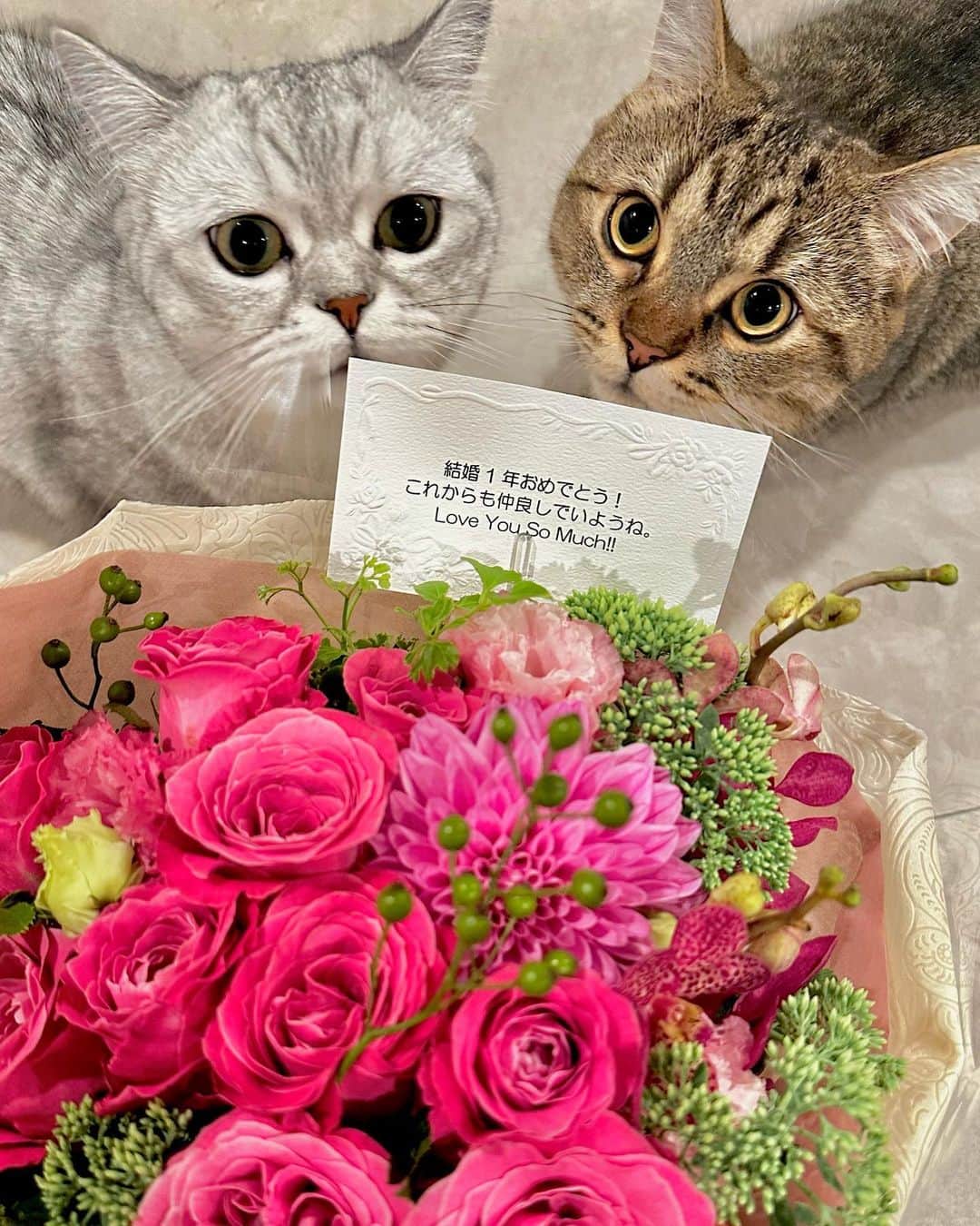 佐達ももこのインスタグラム：「今日で結婚してから1年💍  本当にあっというまだ〜！！  この人と結婚して本当によかったと思う毎日です🩷🌈 これからも毎日思いたいし 思ってもらいたいです😆笑  1年前どきどきしながら発表して 今では夫婦で好きになってもらえるようになって 本当に幸せです！ありがとうございます🫶  2年目もハッピーにすごそう🫰🏻  #結婚記念日」